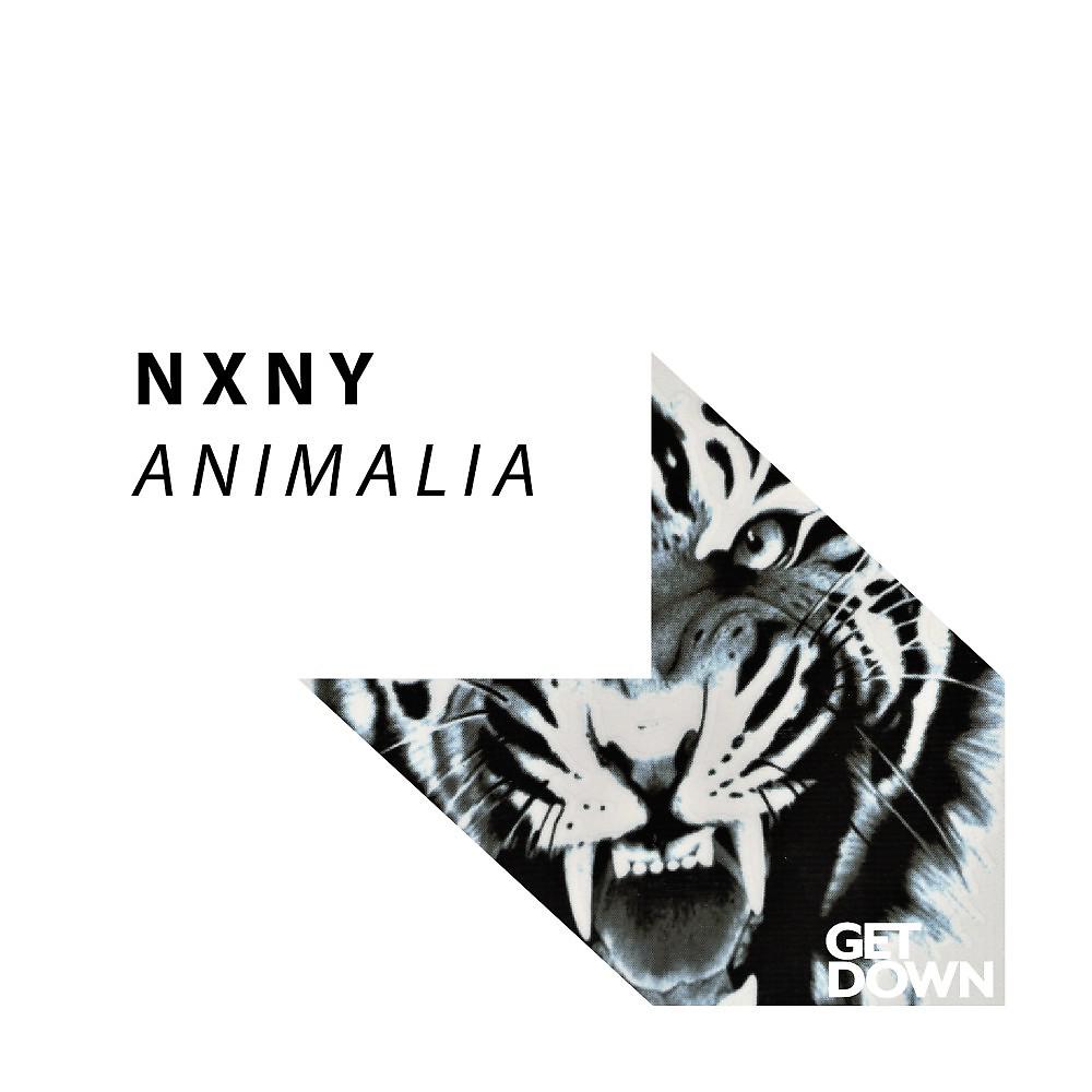 Постер альбома Animalia