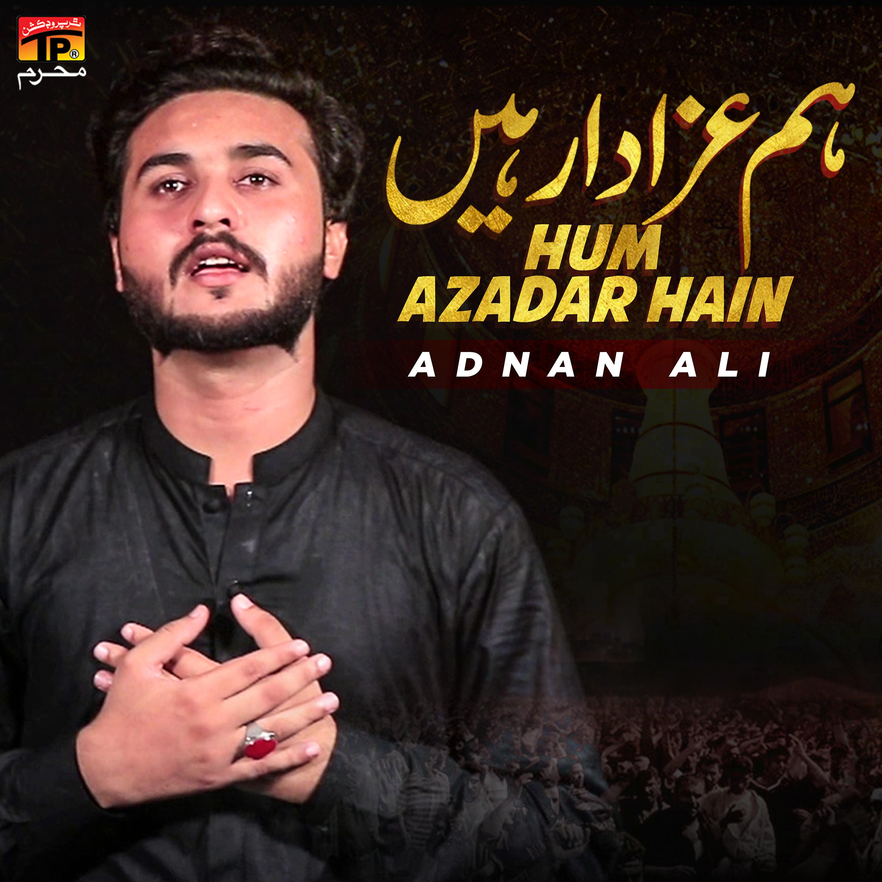 Постер альбома Hum Azadar Hain - Single