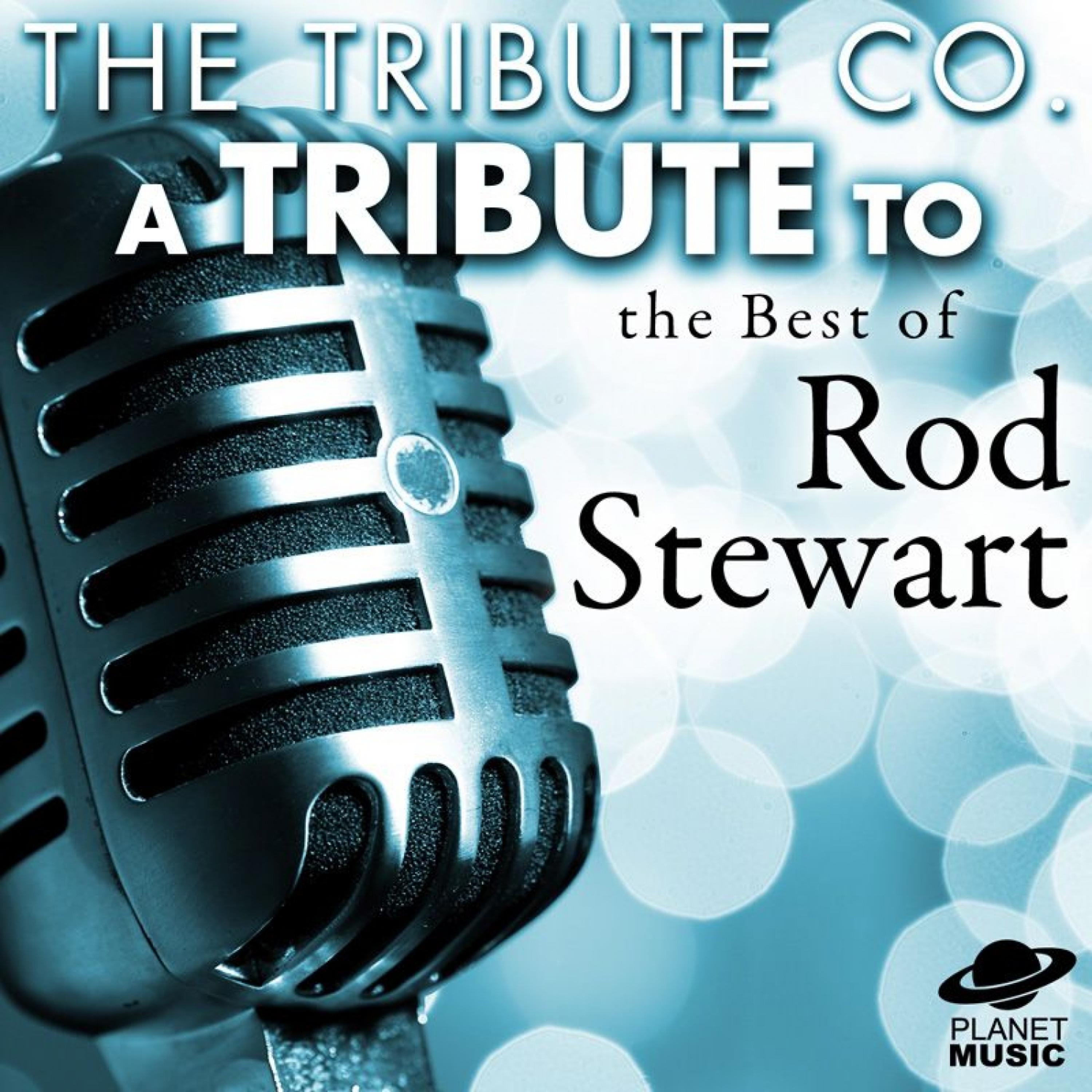 Постер альбома A Tribute to the Best of Rod Stewart