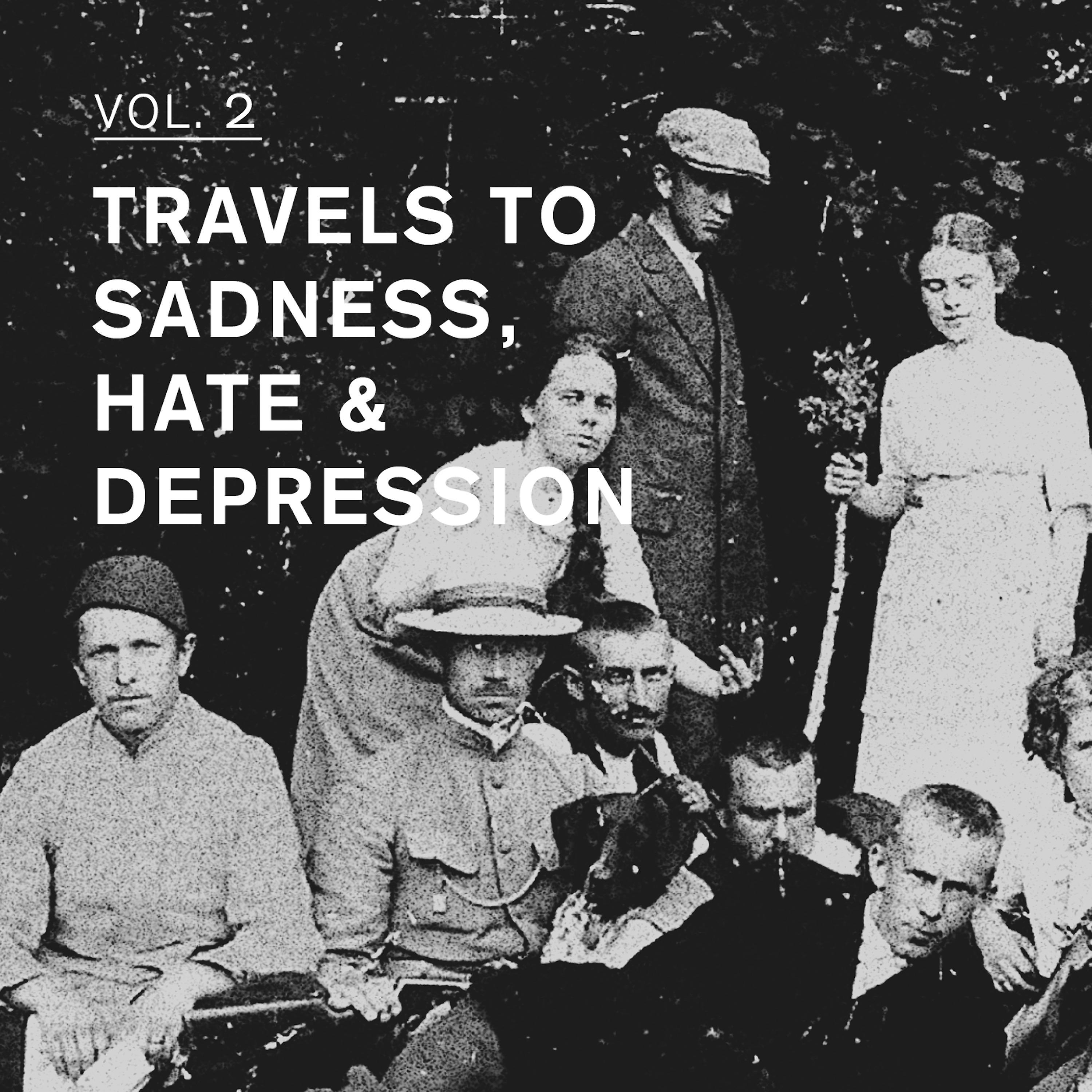 Постер альбома Travels to Sadness, Hate & Depression Vol. 2