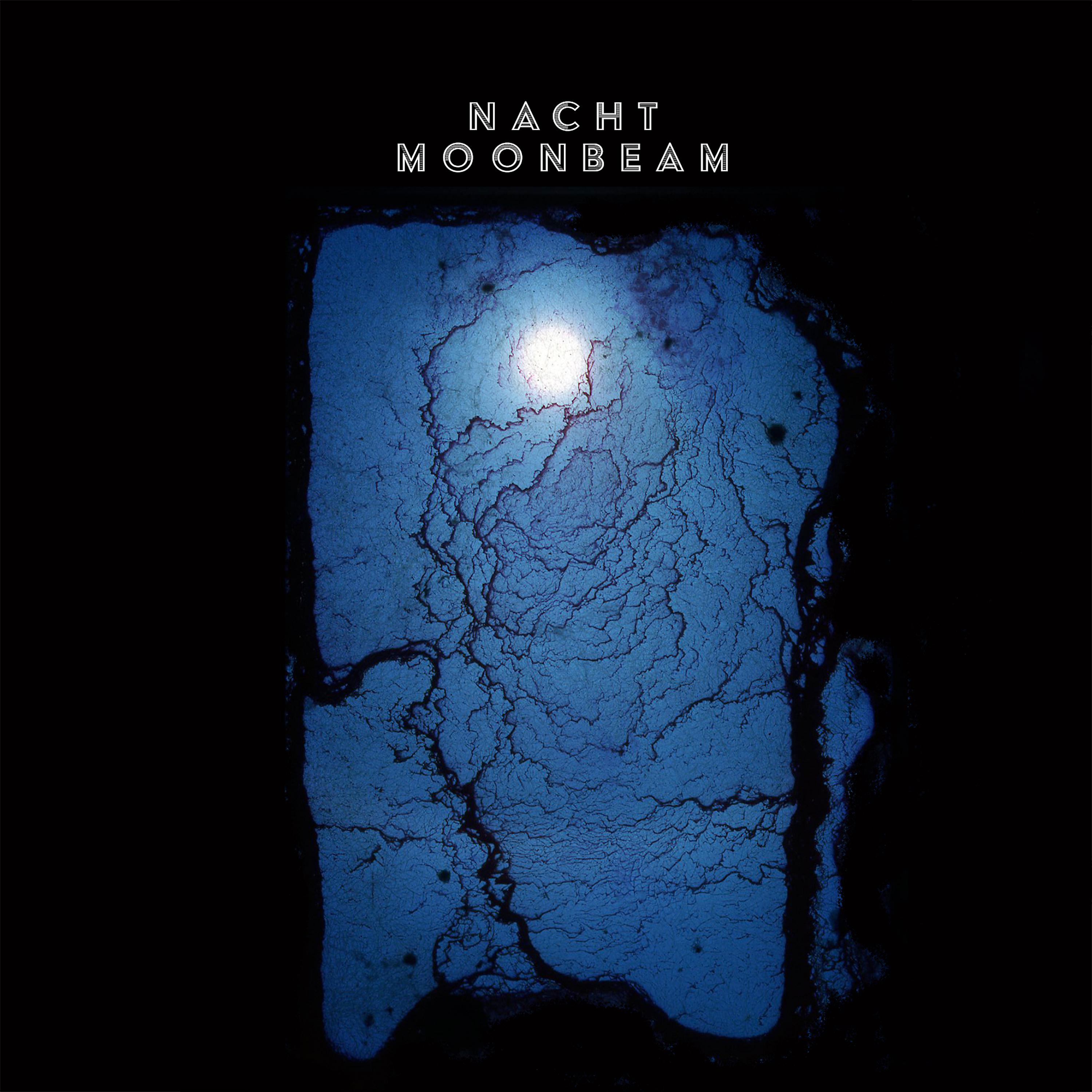 Постер альбома Moonbeam