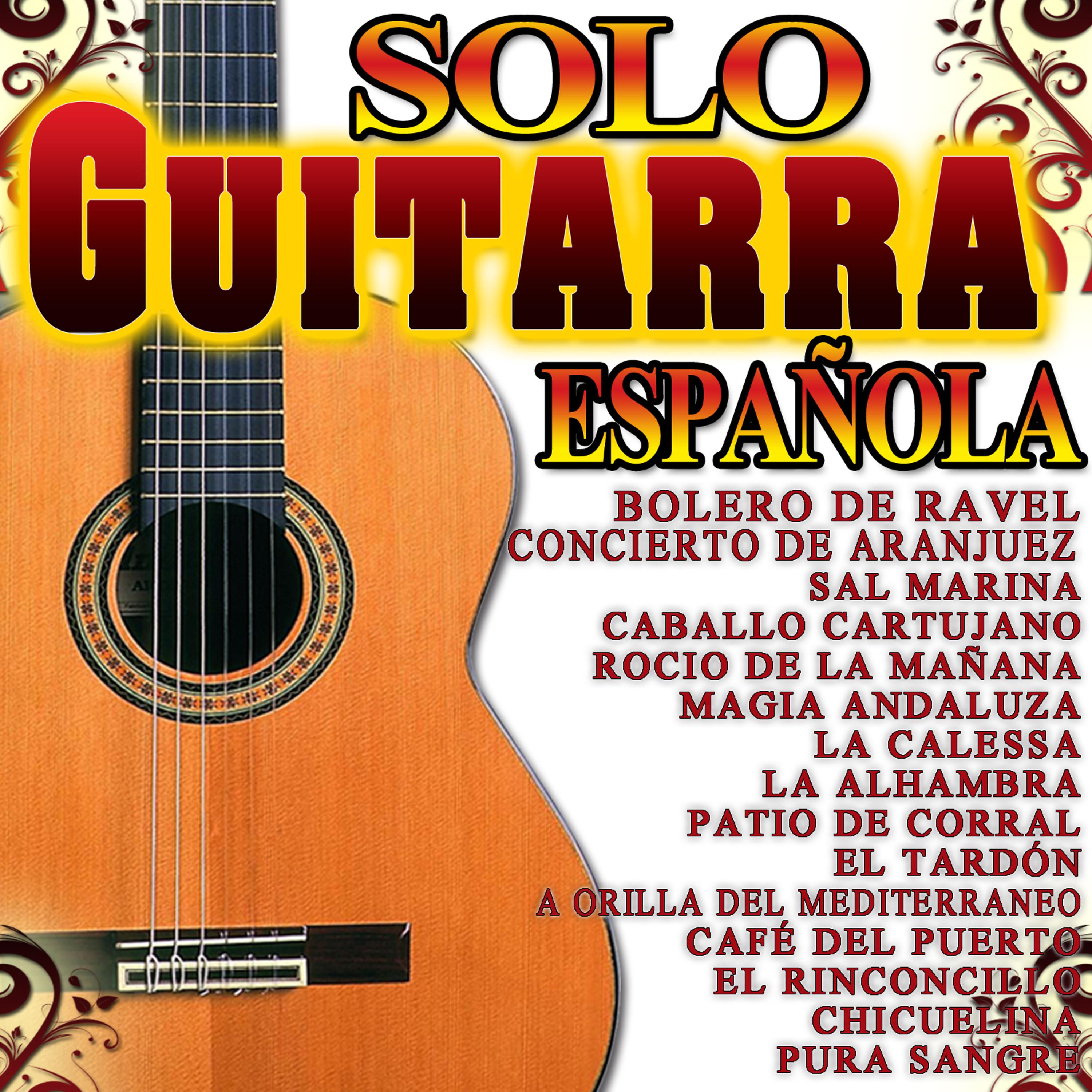 Постер альбома Solo Guitarra Española