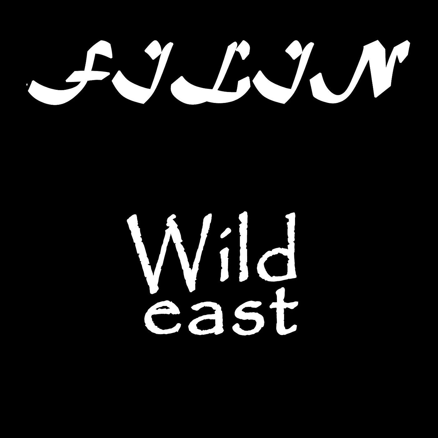Постер альбома Wild East
