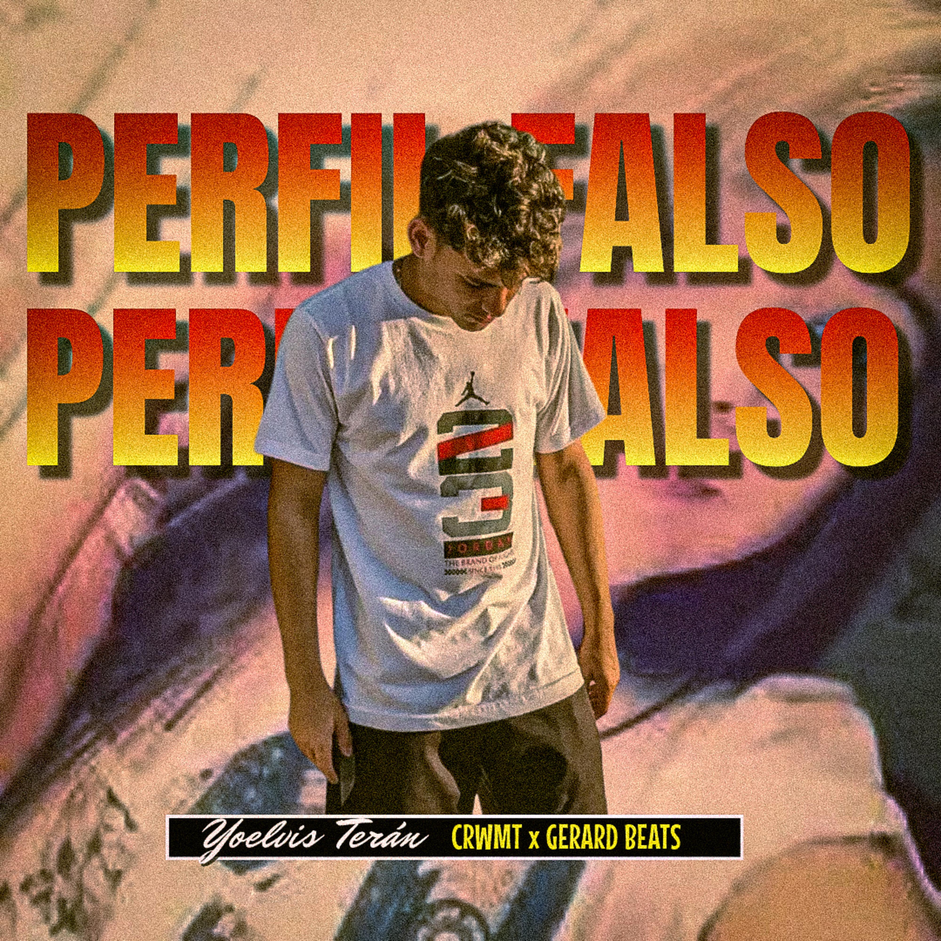 Постер альбома Perfil Falso