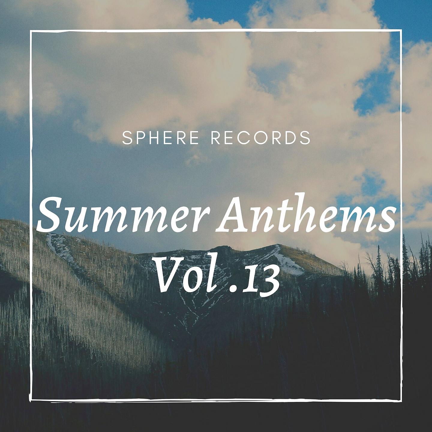 Постер альбома Summer Anthems Vol. 13