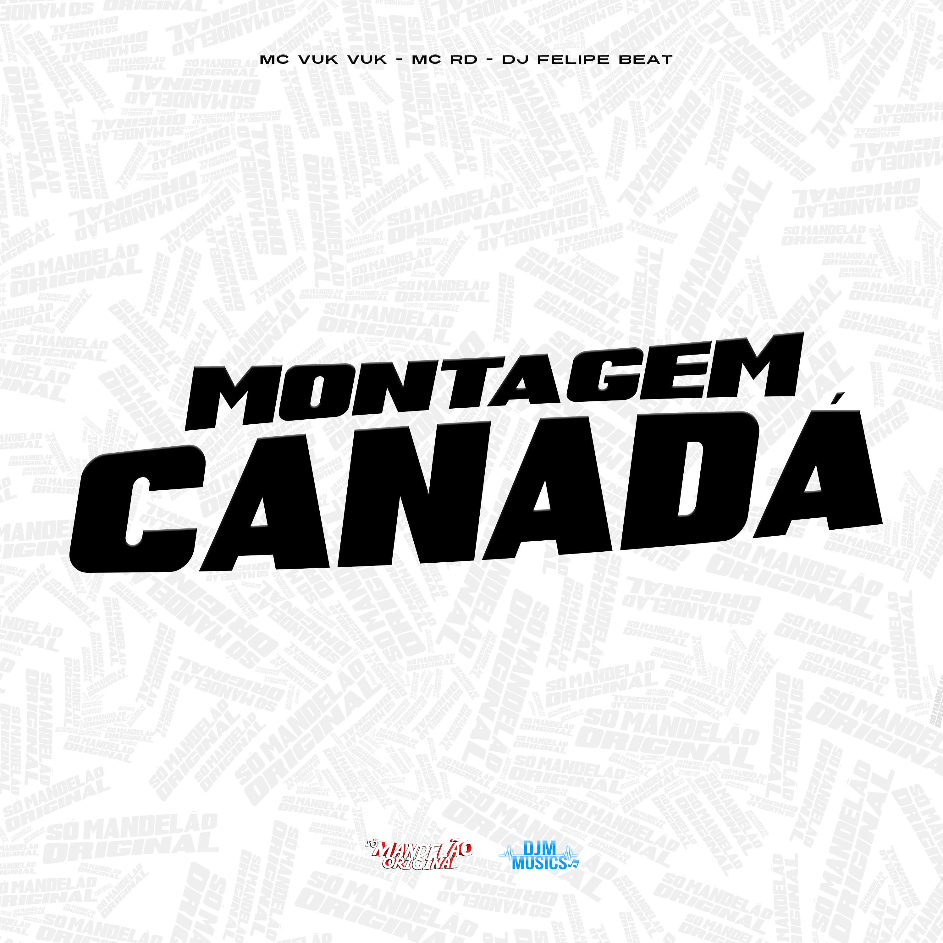 Постер альбома Montagem Canadá