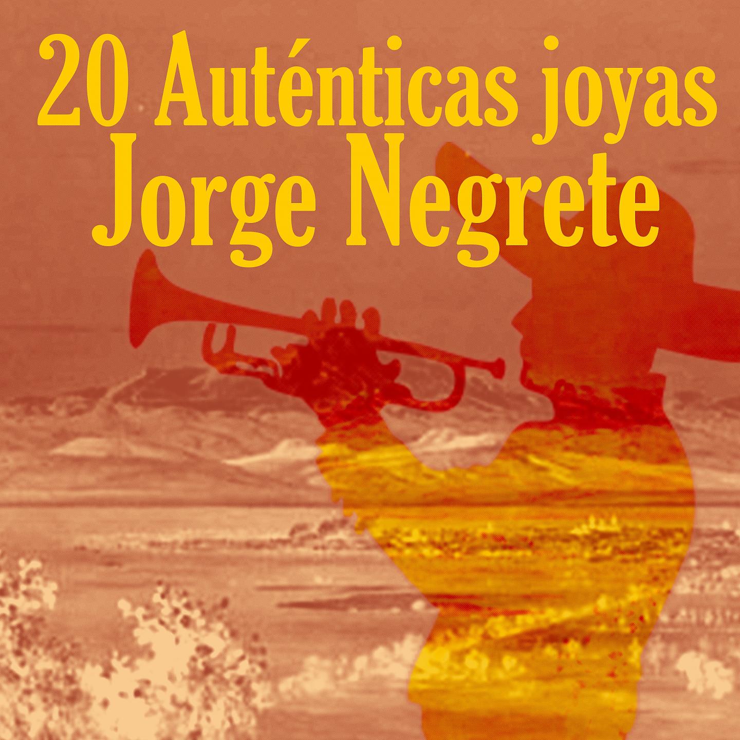Постер альбома 20 Auténticas Joyas