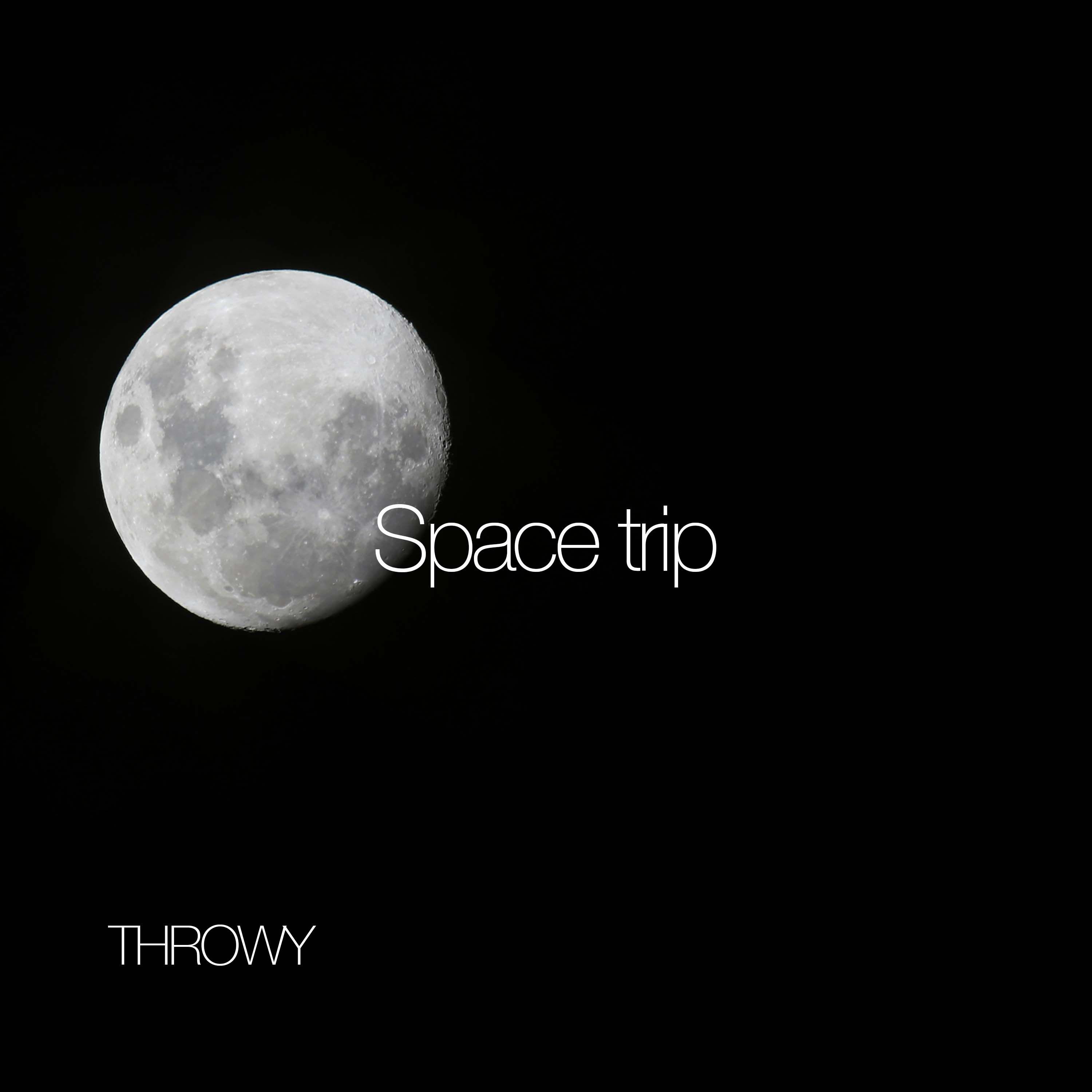 Постер альбома Space trip