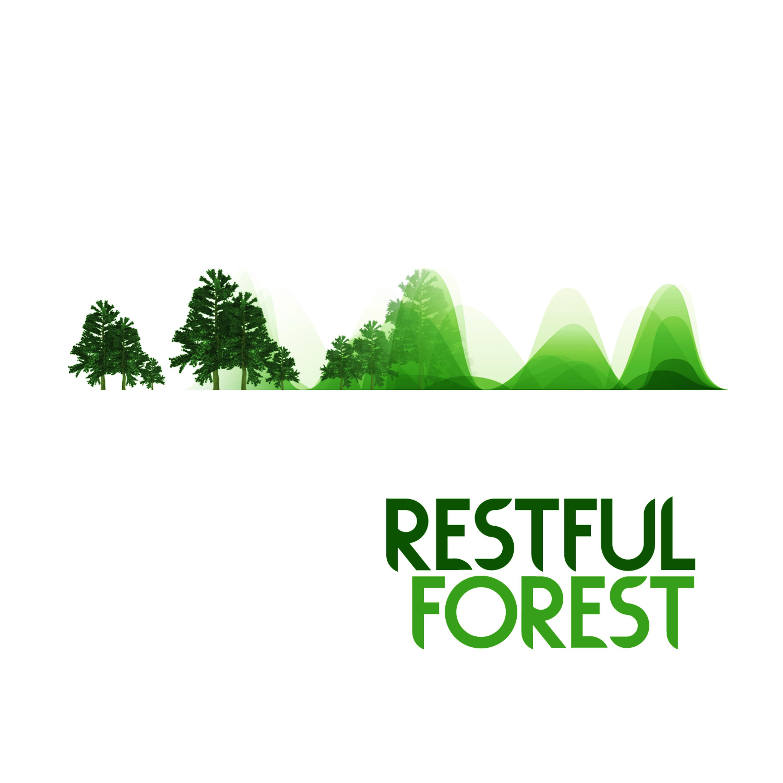 Постер альбома Restful Forest
