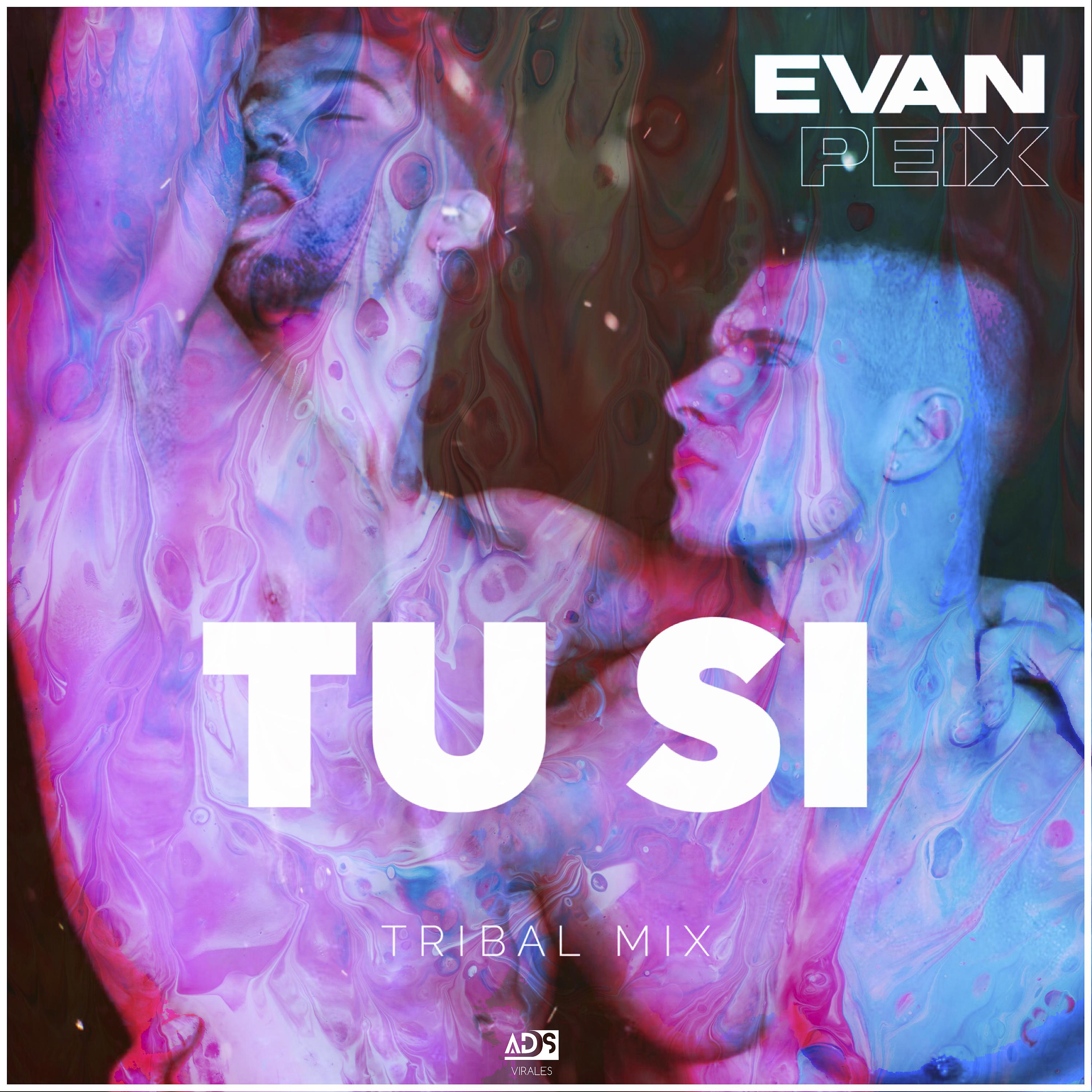 Постер альбома Tu Si Tribal Mix (Remix)