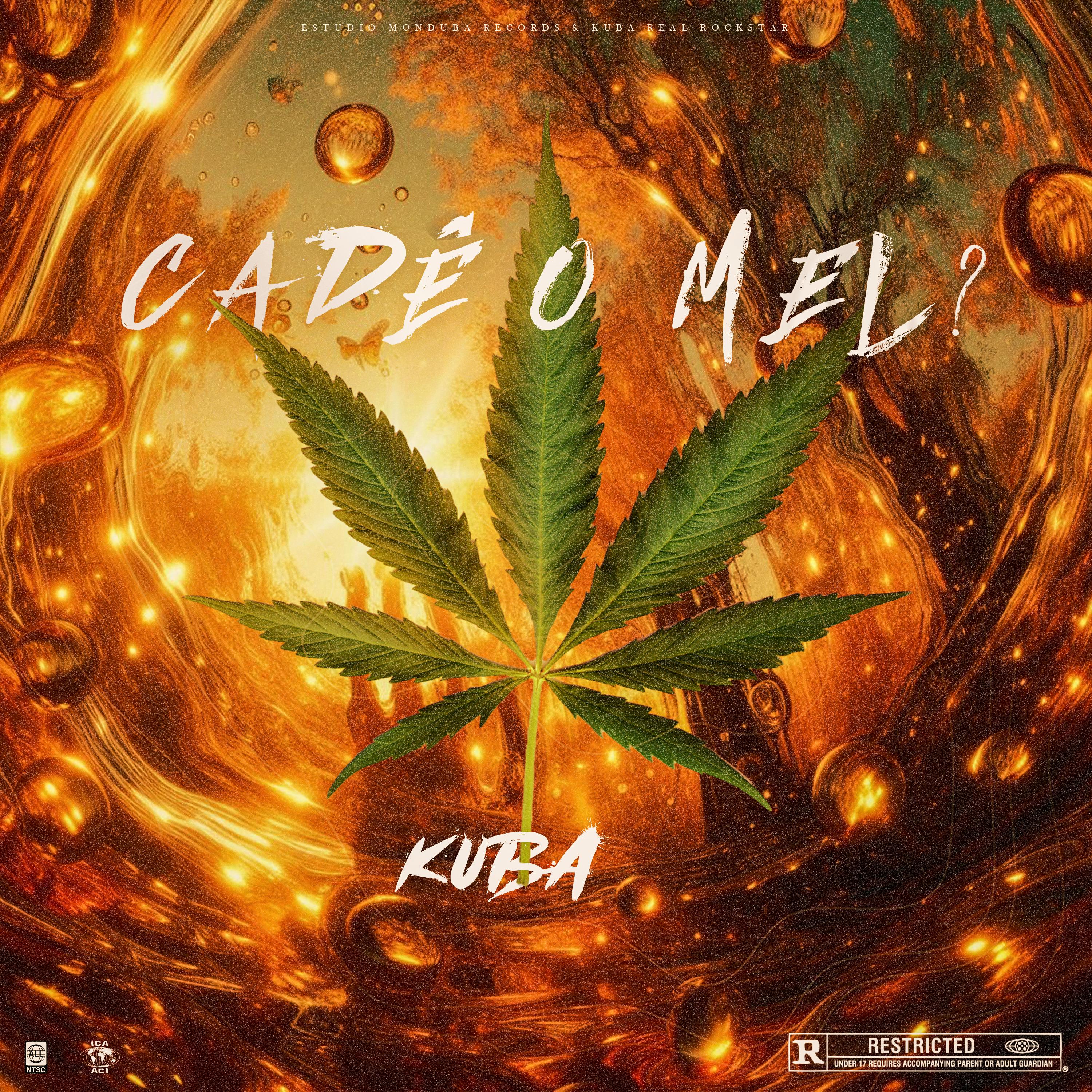 Постер альбома Cade o Mel?
