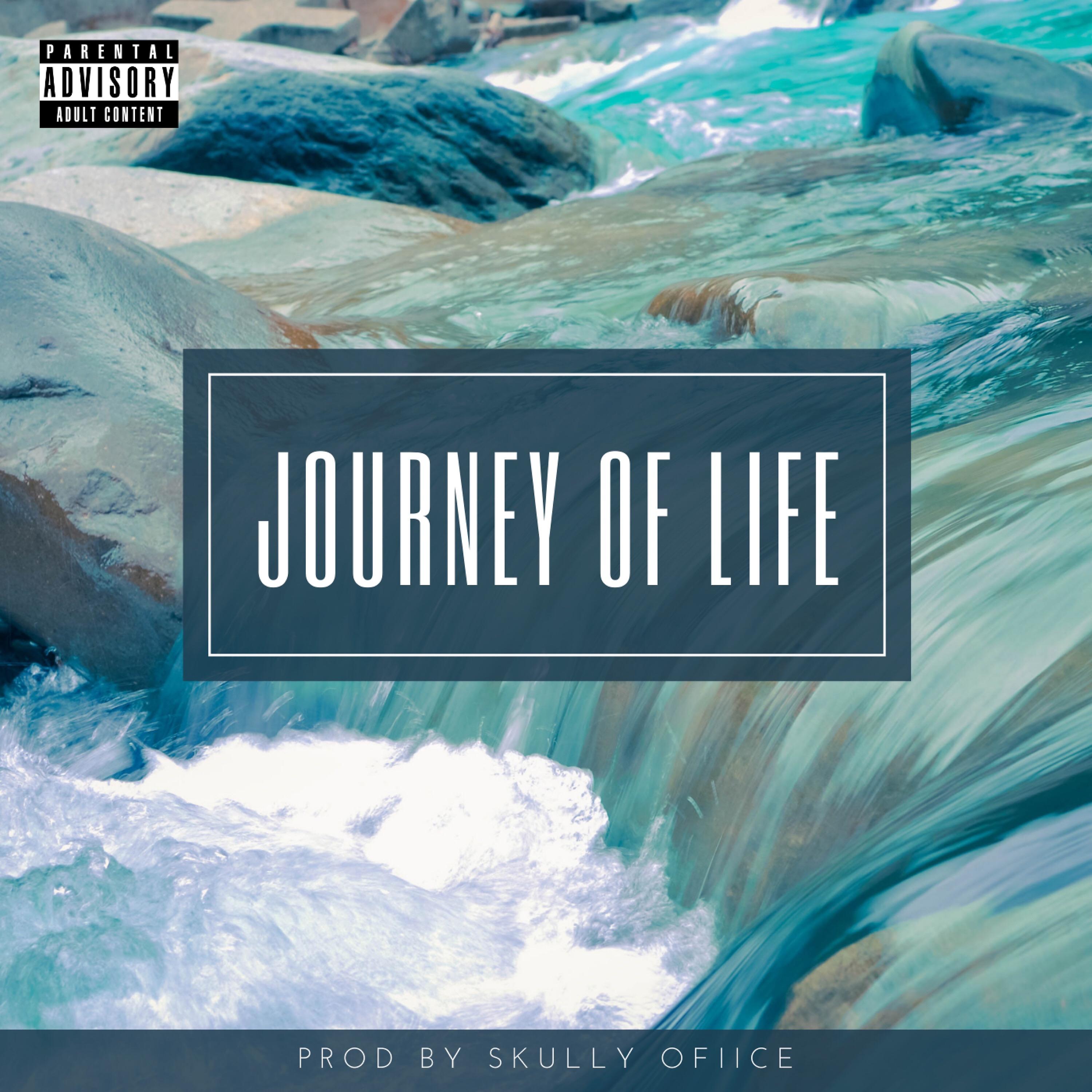 Постер альбома Journey of Life