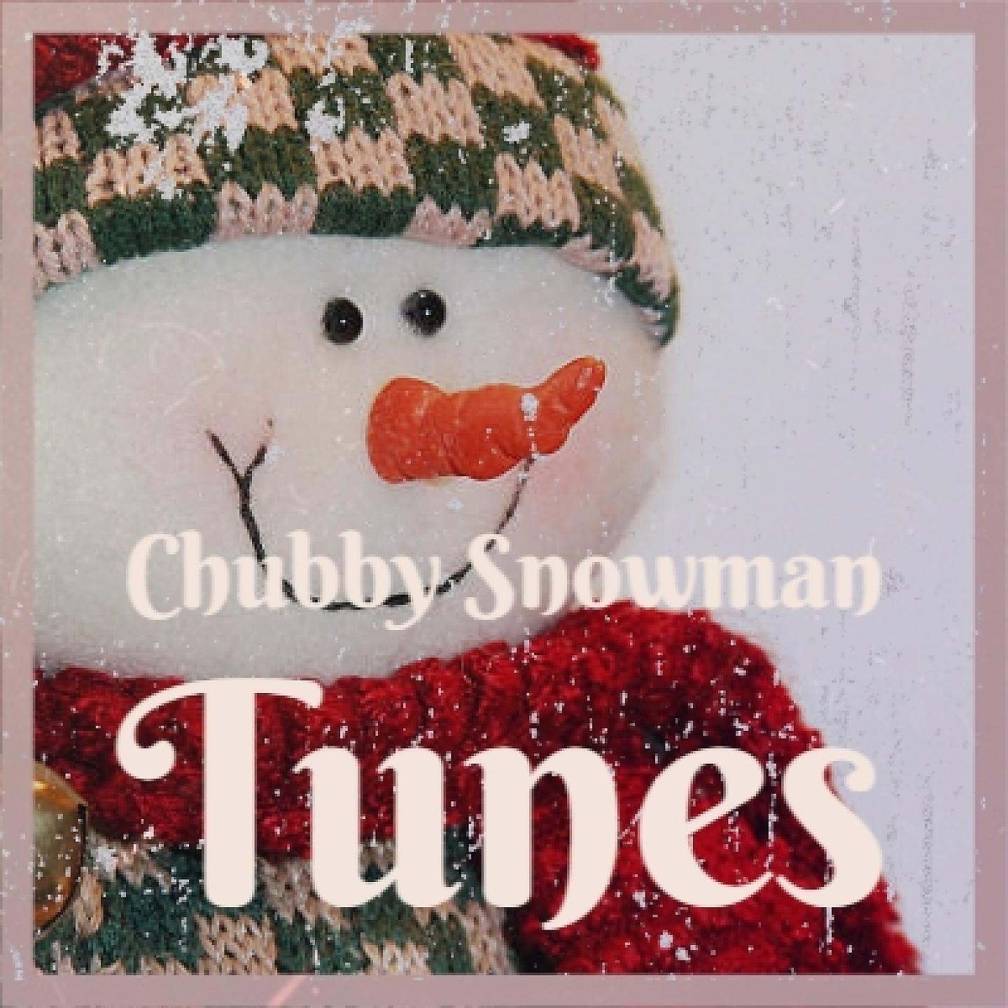 Постер альбома Chubby Snowman Tunes