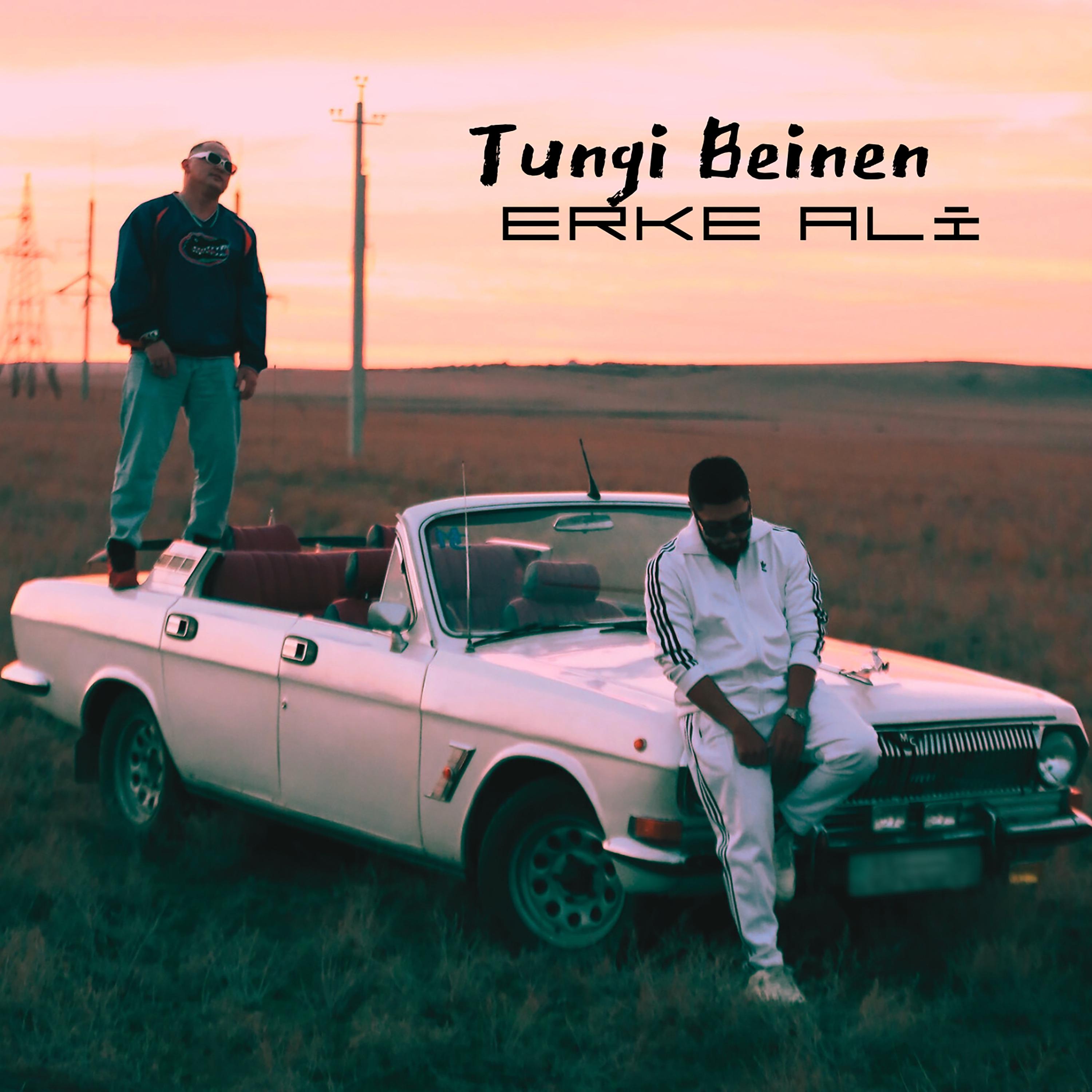 Постер альбома Tungi beinen