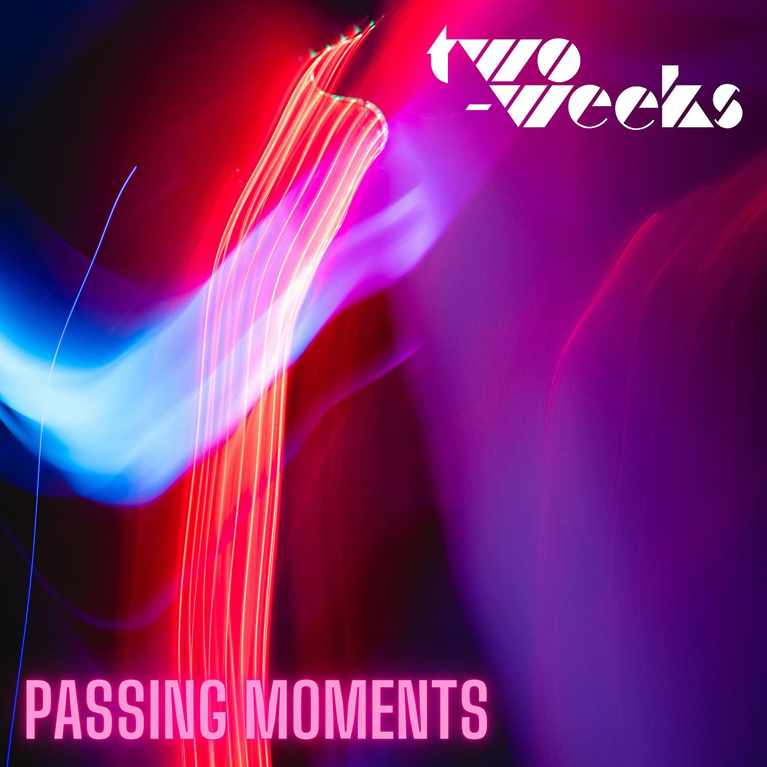 Постер альбома Passing Moments