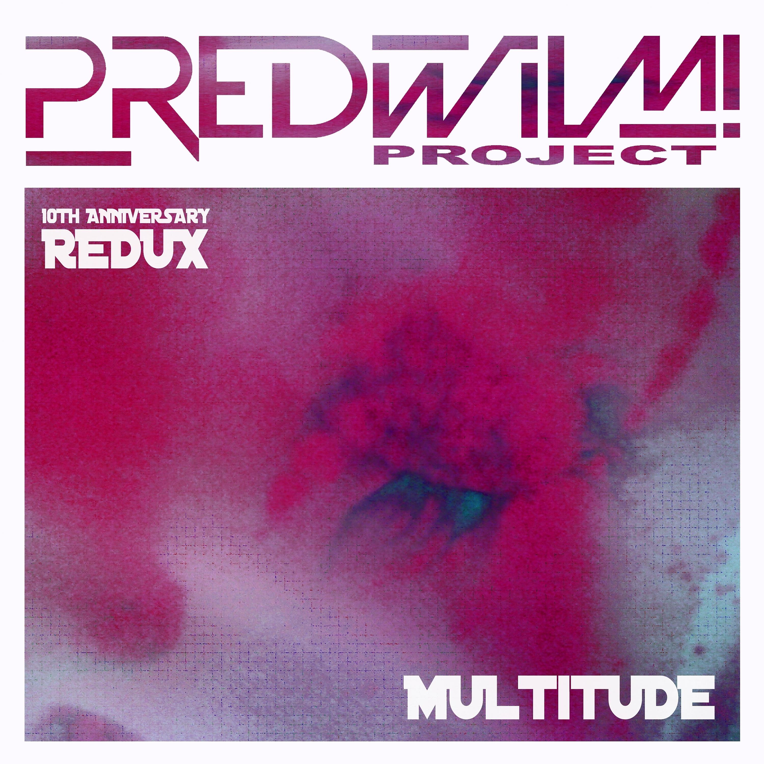 Постер альбома Multitude (10th Anniversary Redux)