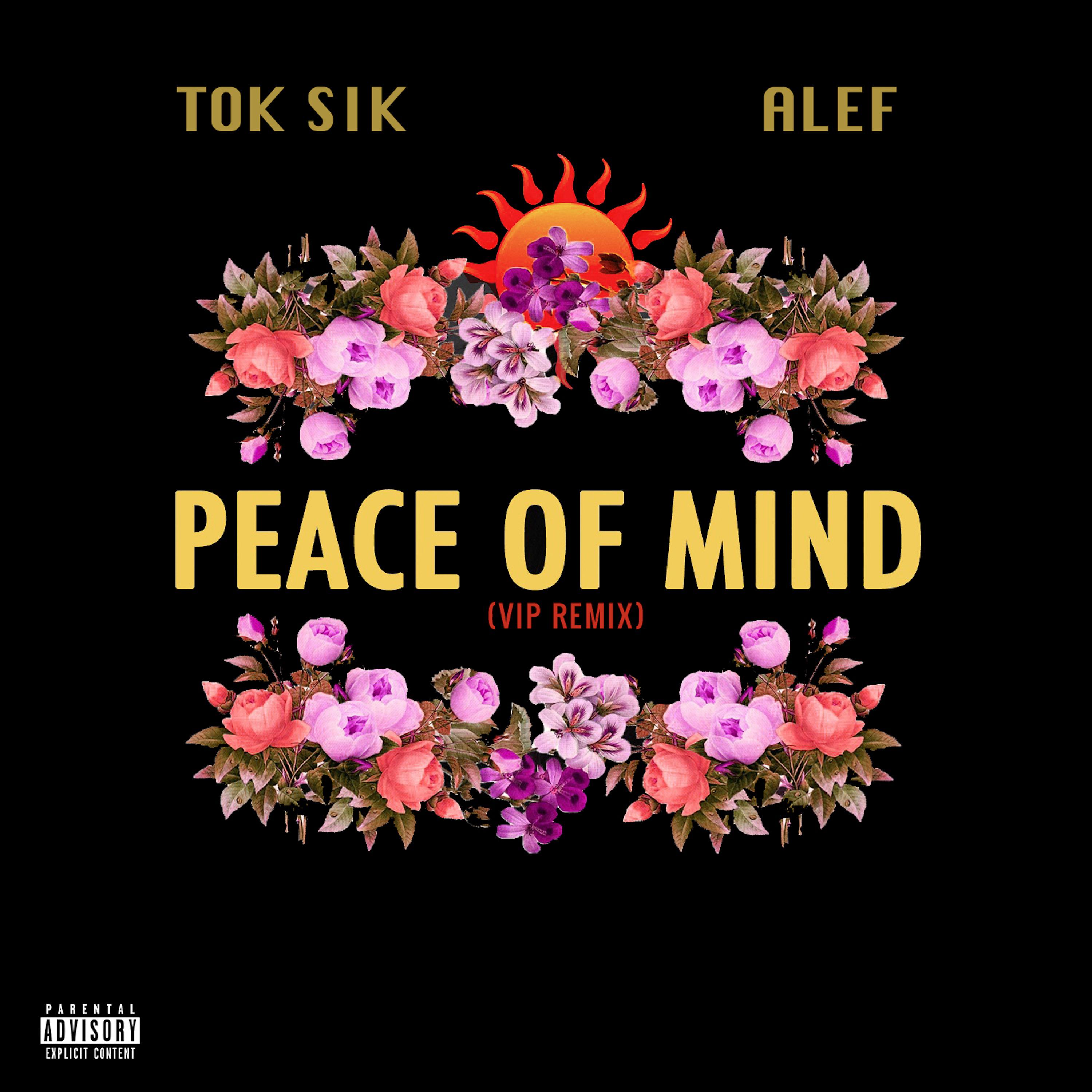 Постер альбома Peace Of Mind (VIP Remix)