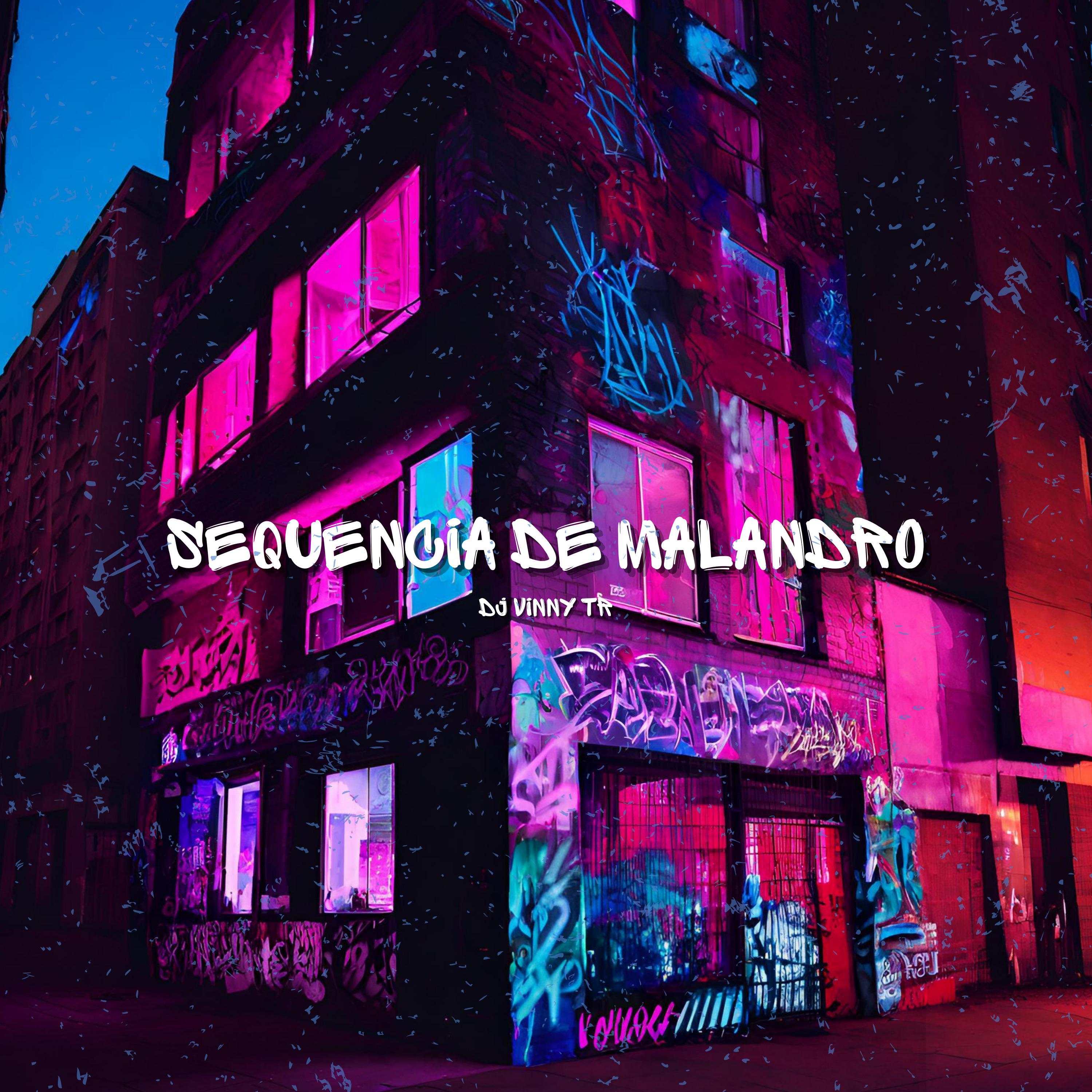 Постер альбома Sequencia de Malandro