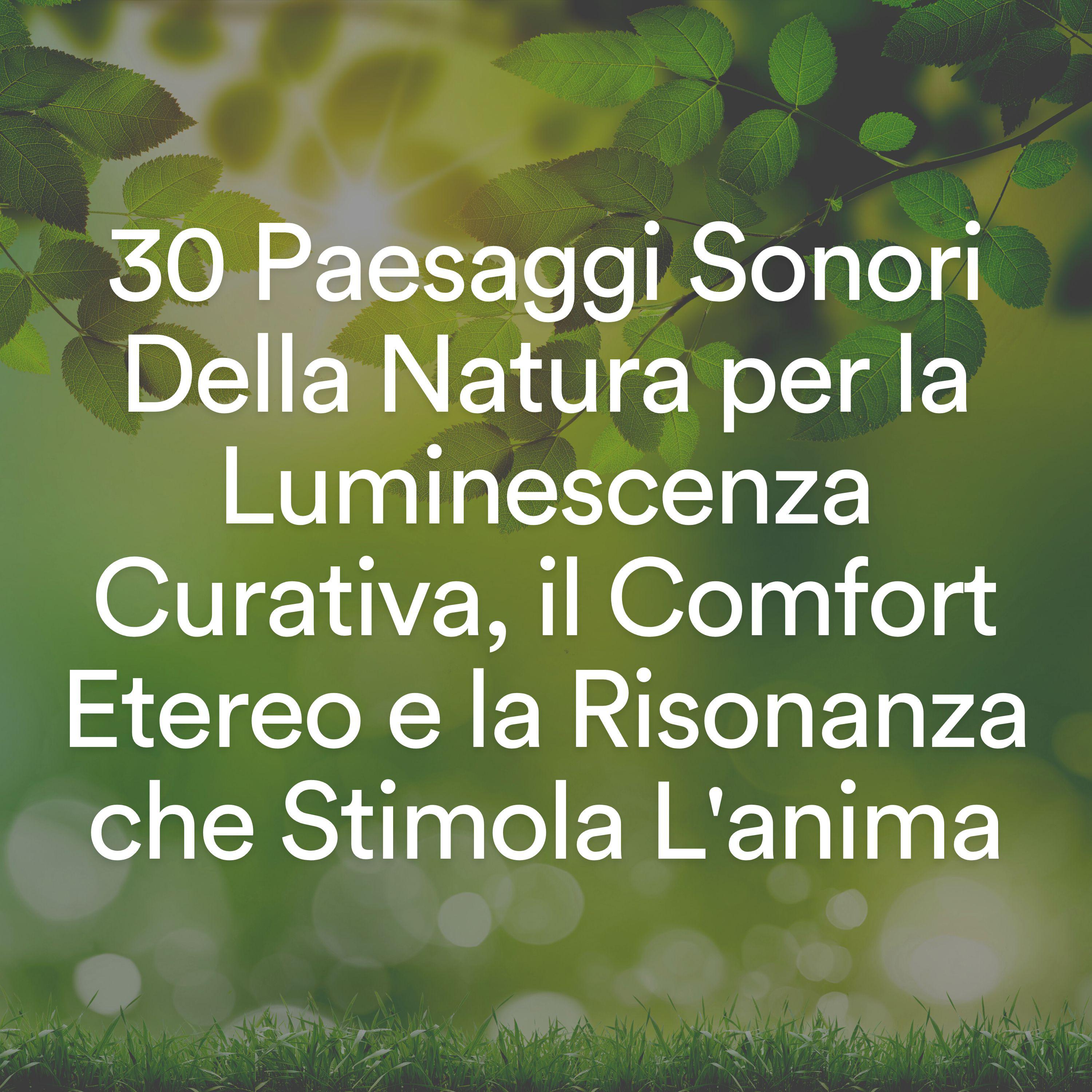 Постер альбома 30 Paesaggi Sonori Della Natura per la Luminescenza Curativa, il Comfort Etereo e la Risonanza che Stimola L'anima