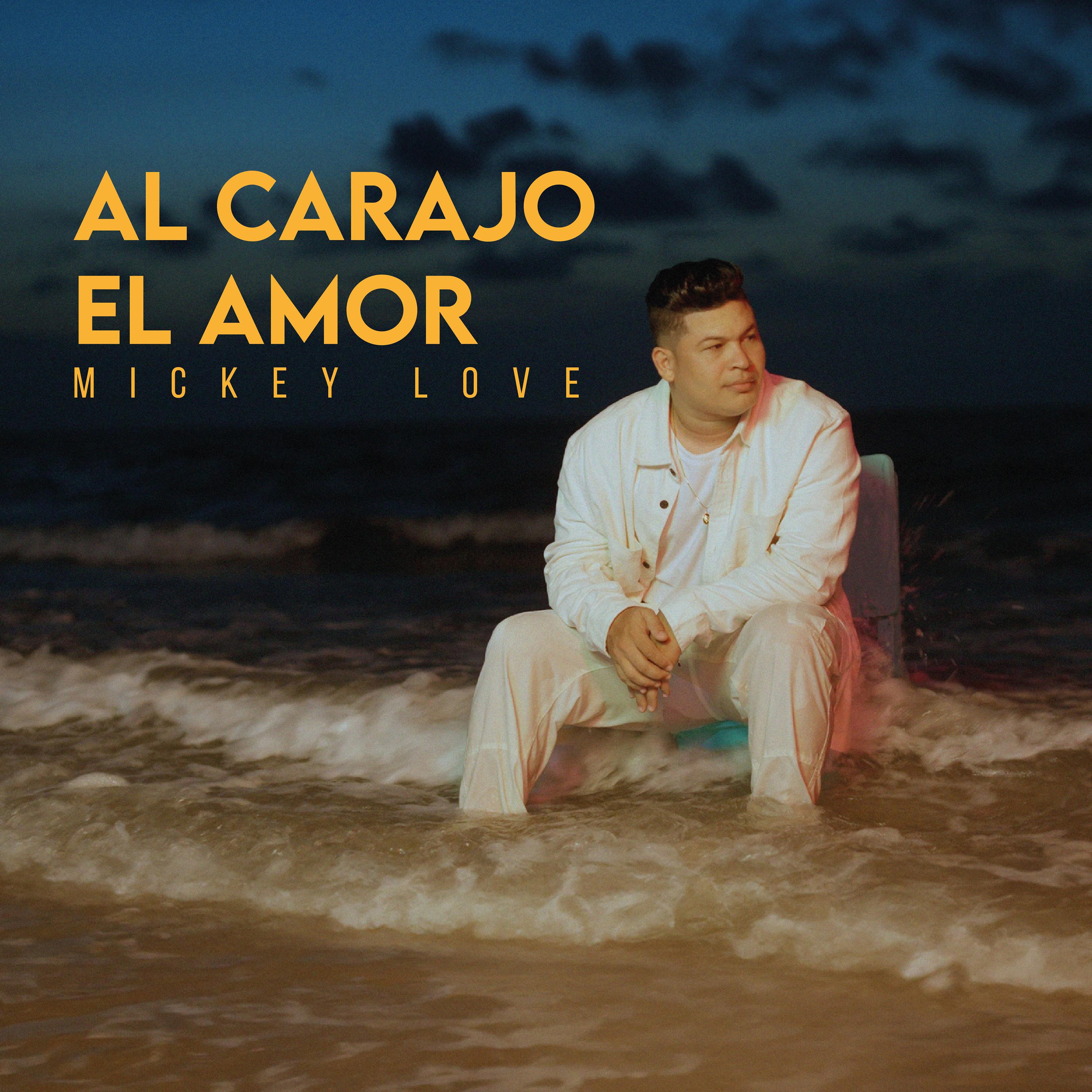 Постер альбома Al Carajo el Amor