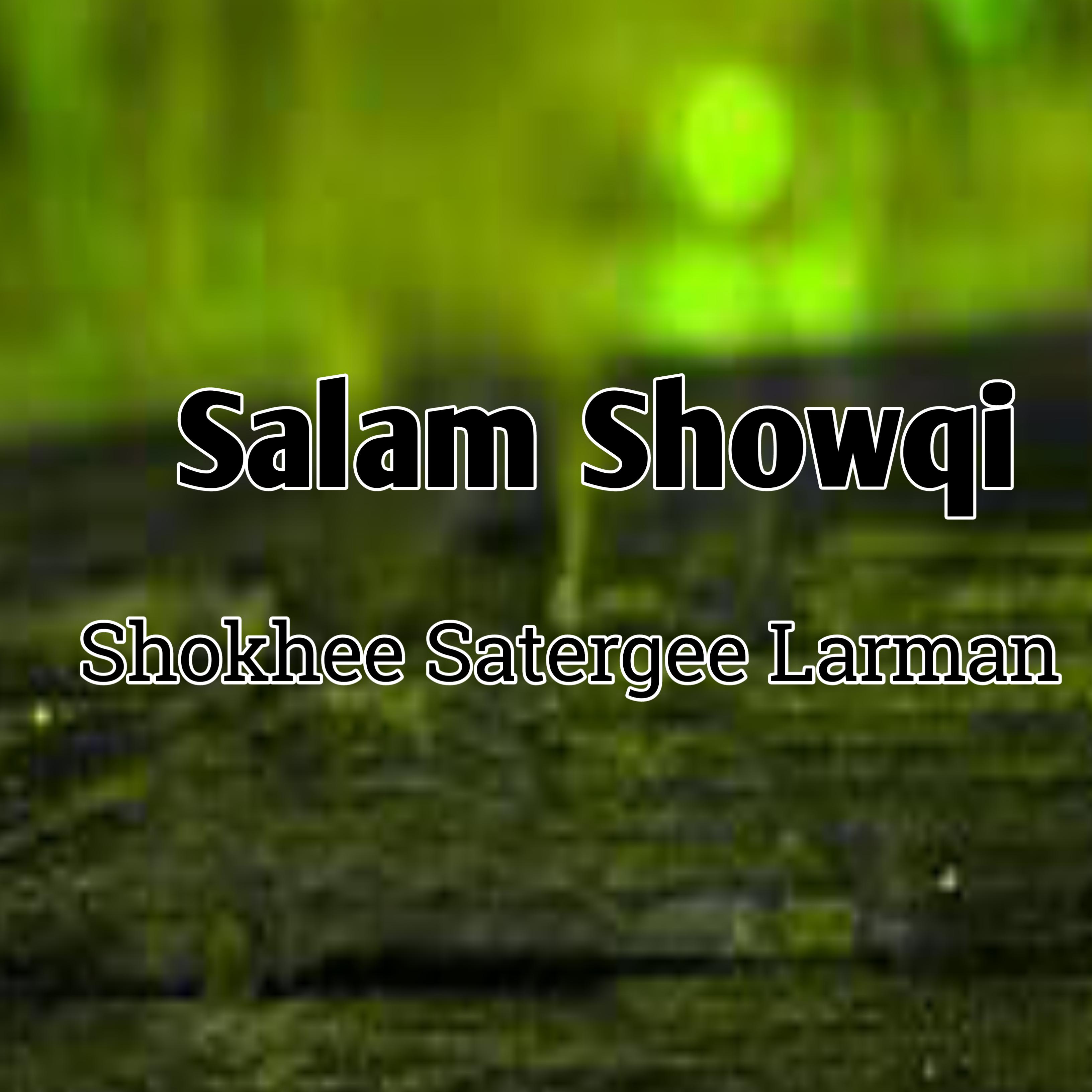 Постер альбома Shokhee Satergee Larman