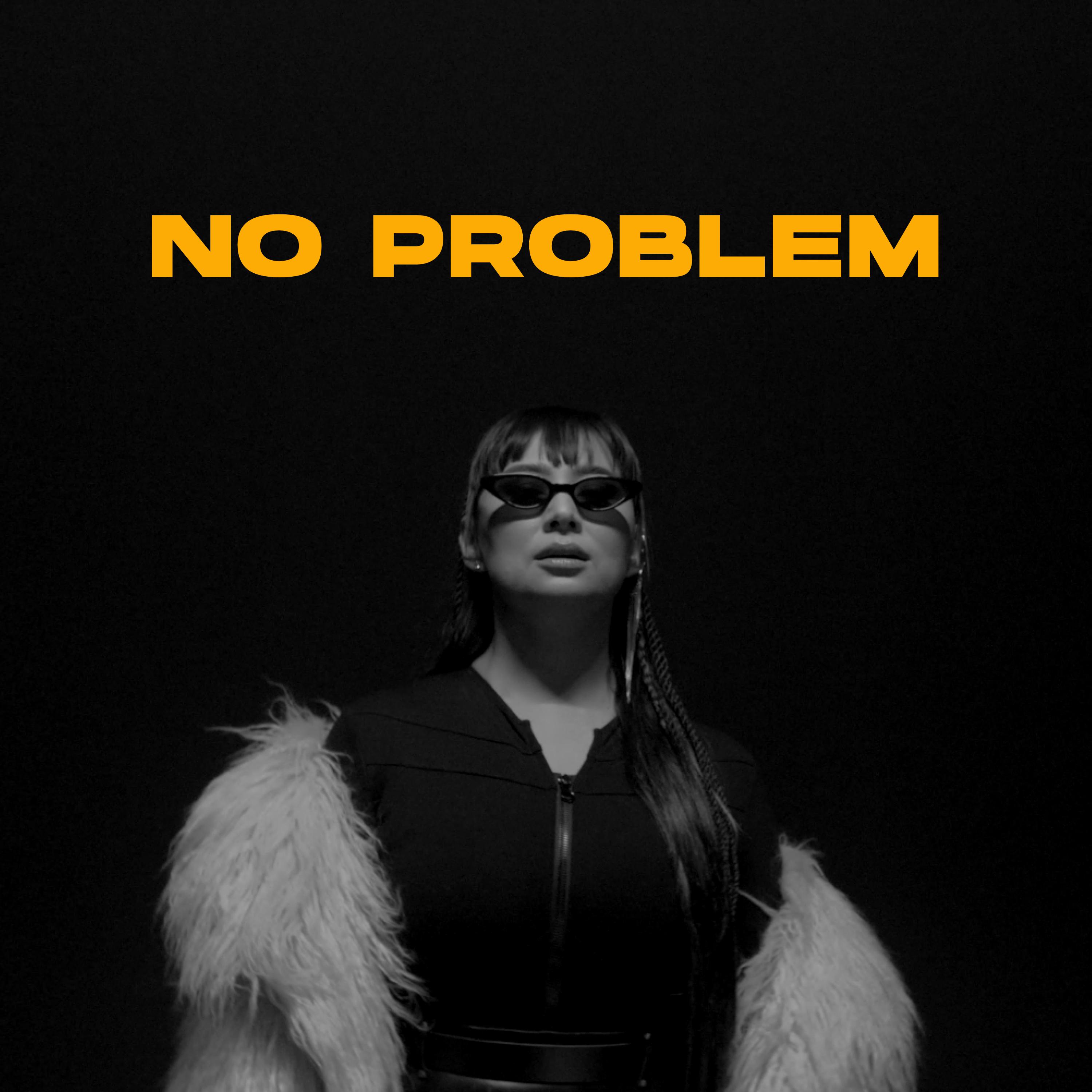 Постер альбома No Problem