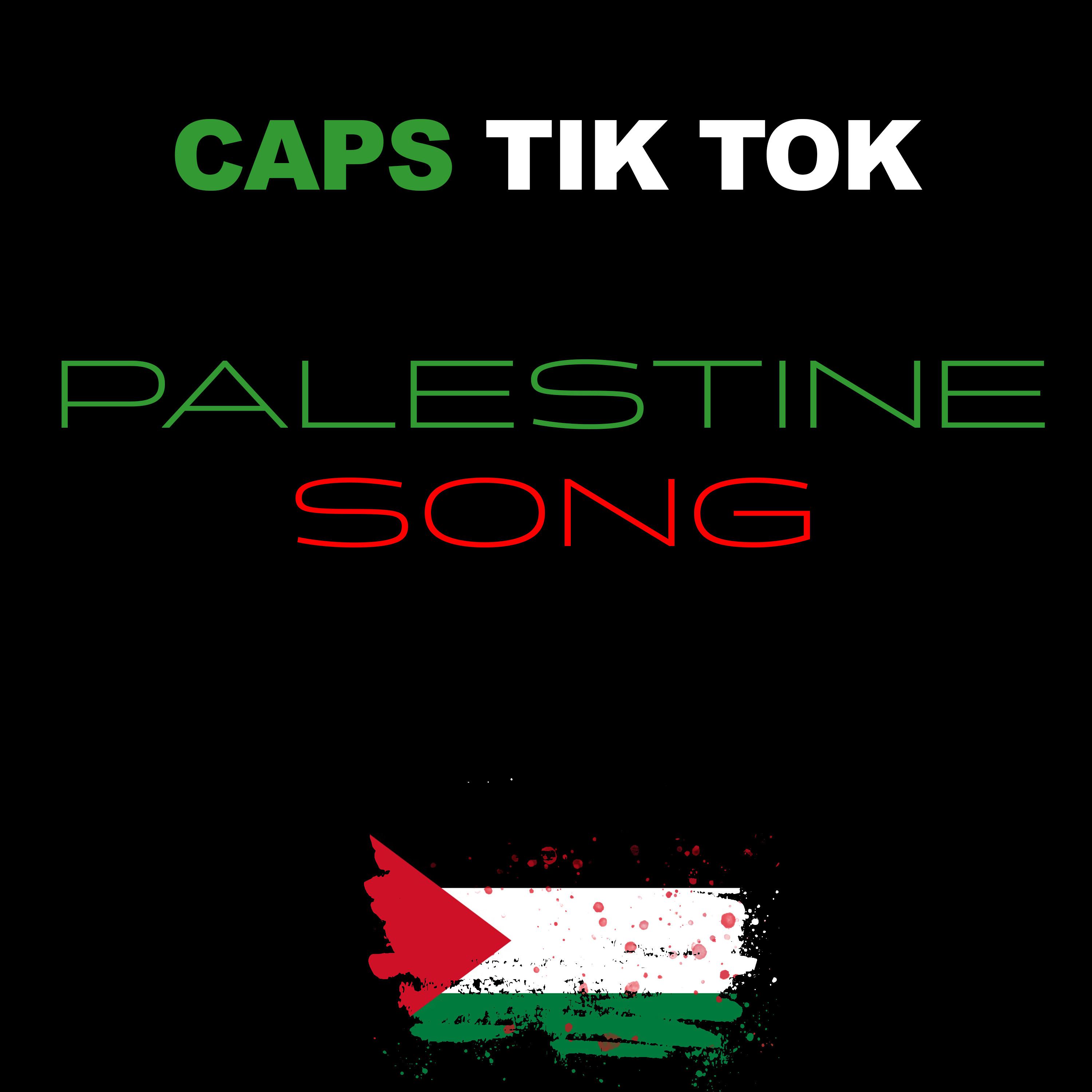 Постер альбома Palestine Song
