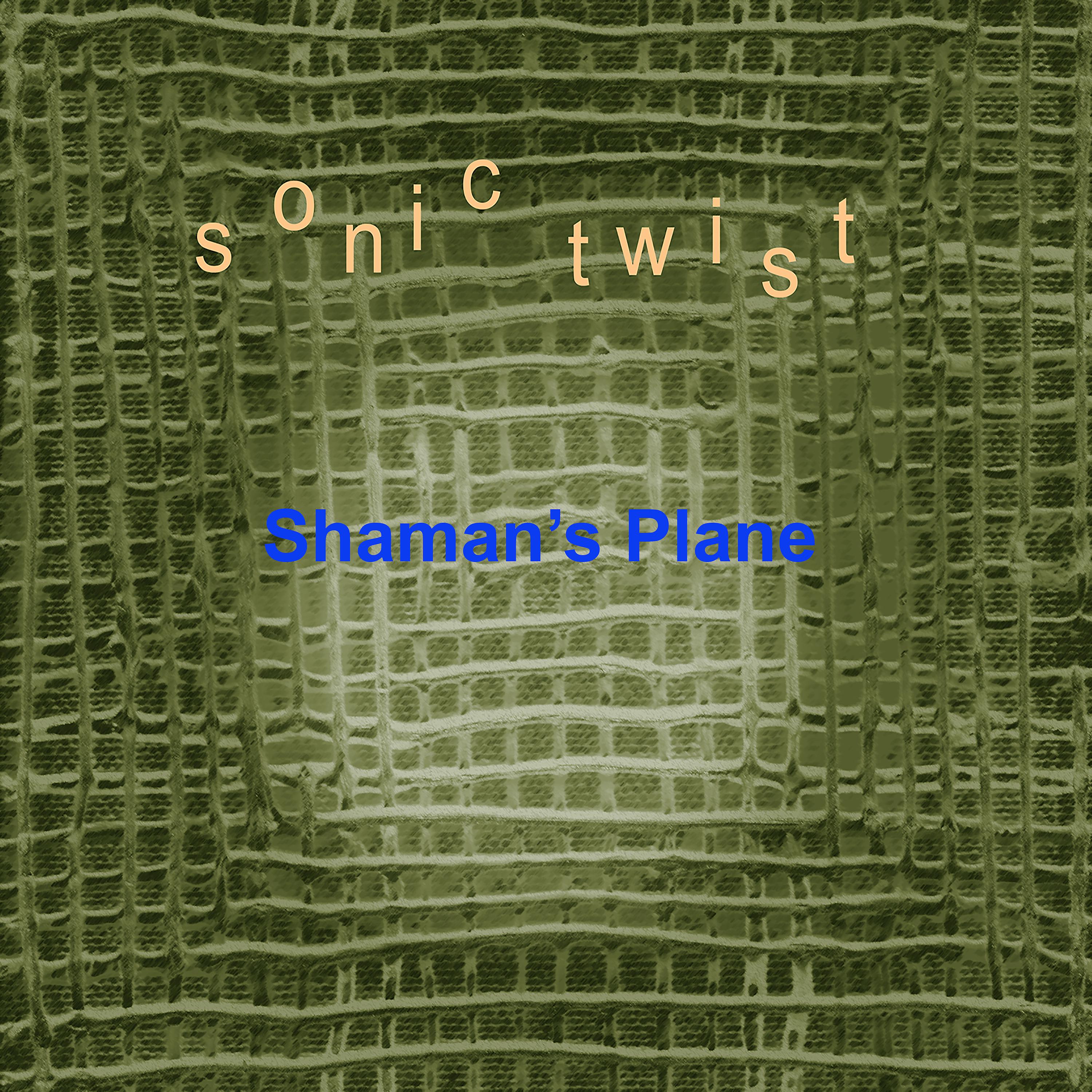 Постер альбома Shaman's Plane