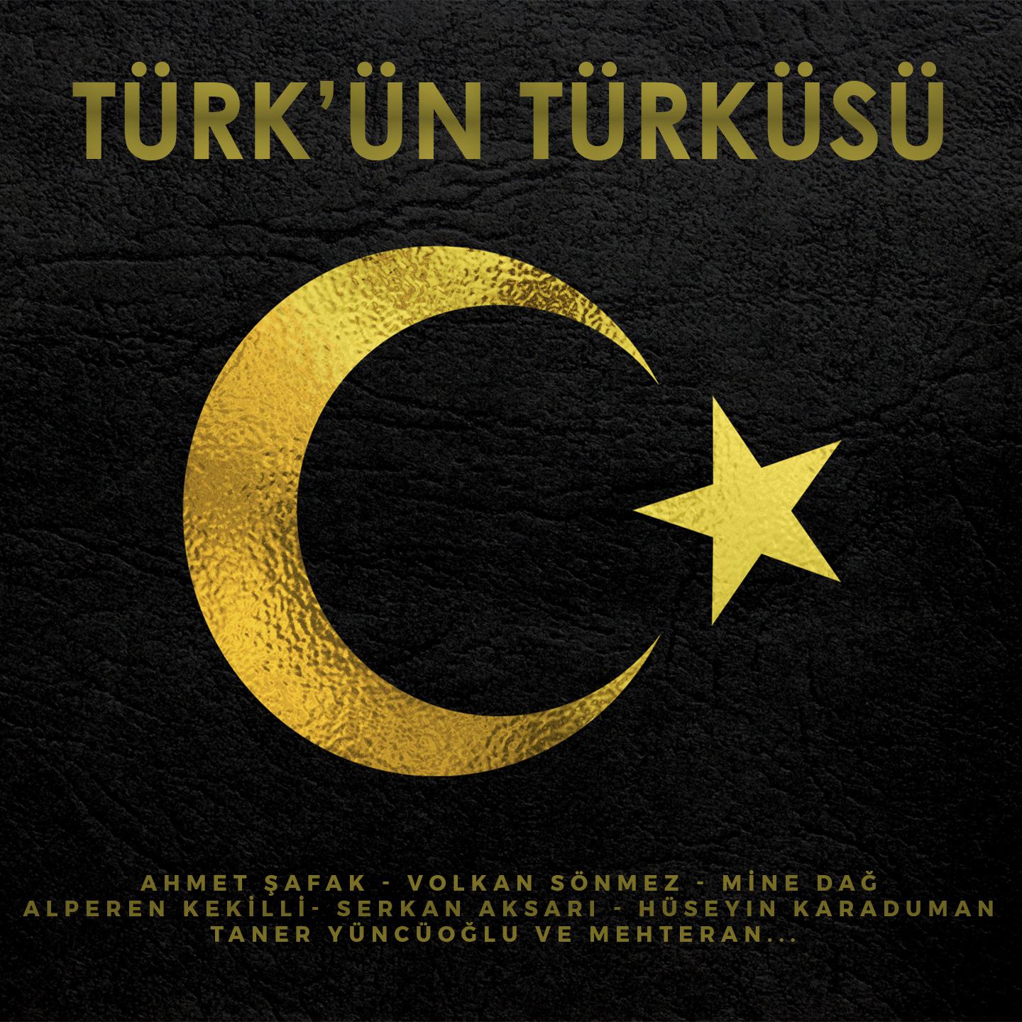 Постер альбома Türk'ün Türküsü