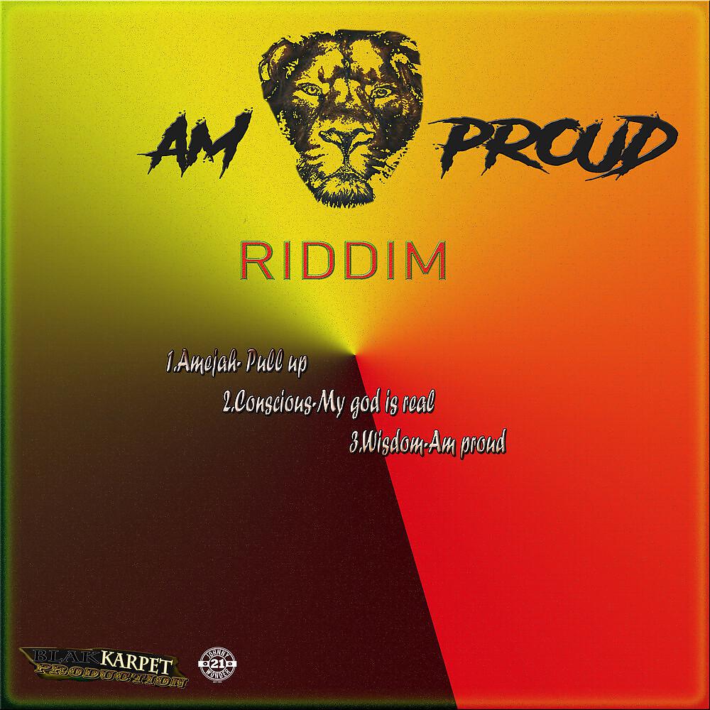 Постер альбома Am Proud Riddim