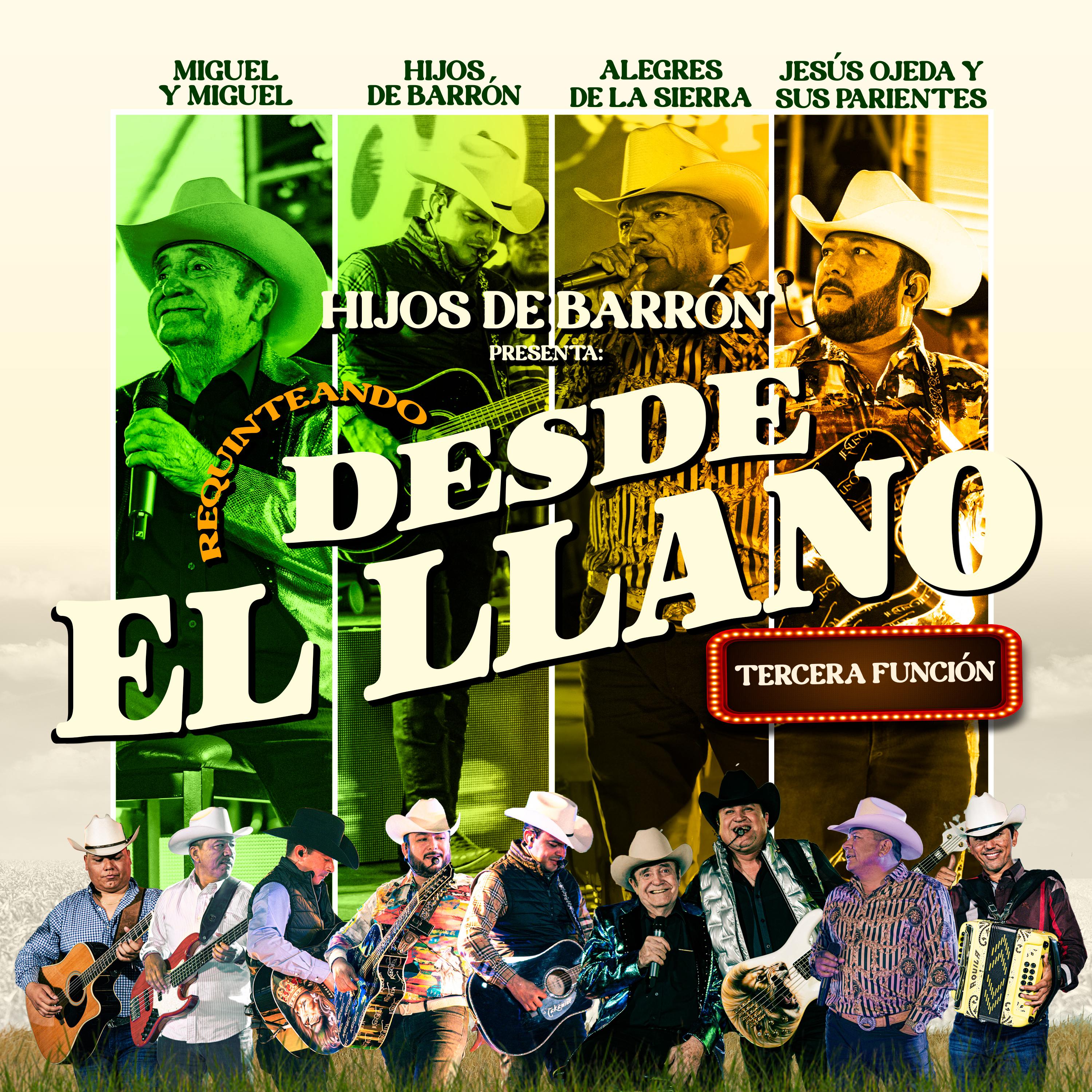 Постер альбома Requinteando Desde el Llano - Tercera Función