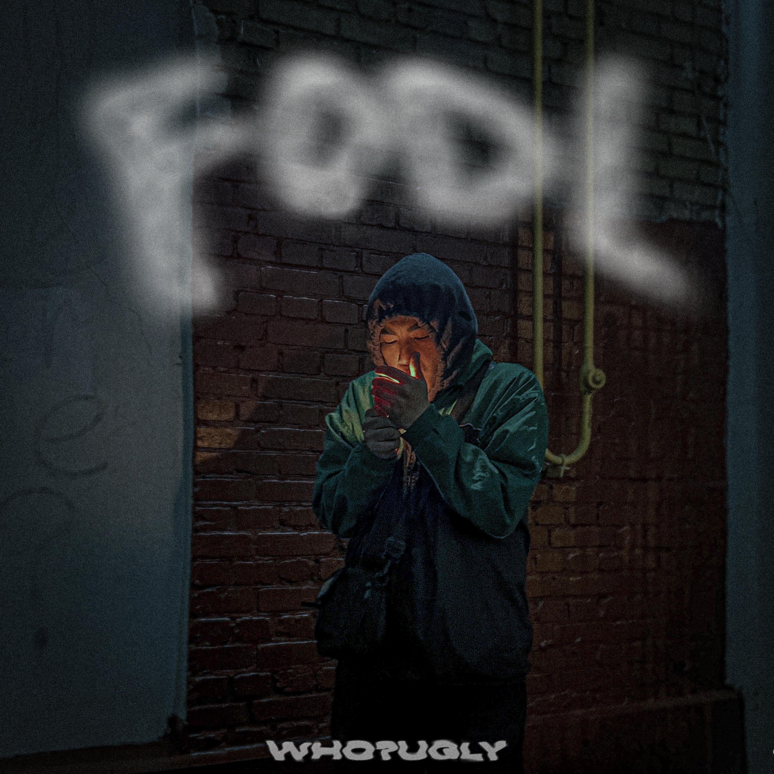 Постер альбома FOOL