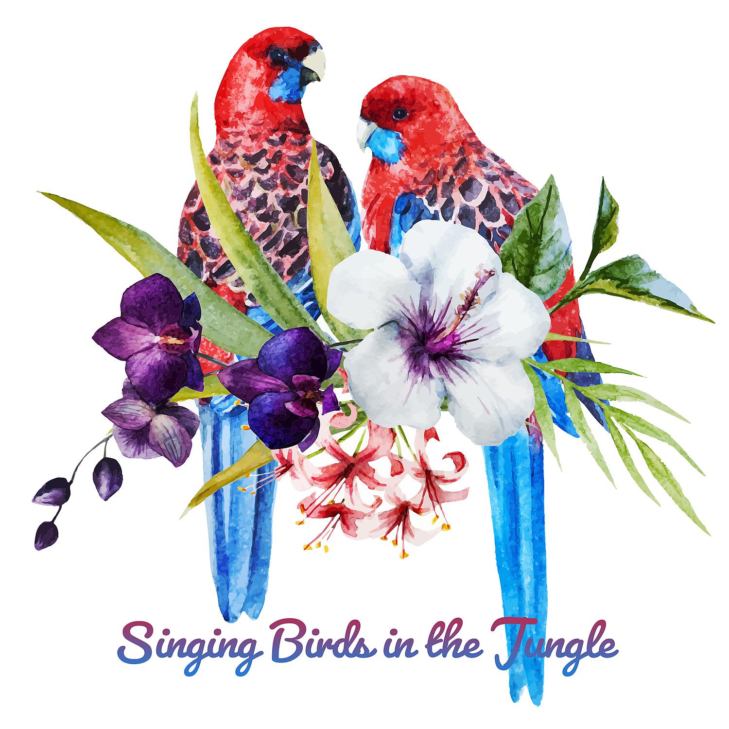 Постер альбома Singing Birds in the Jungle: Tropical Nature Sounds & Exotic Mood Music