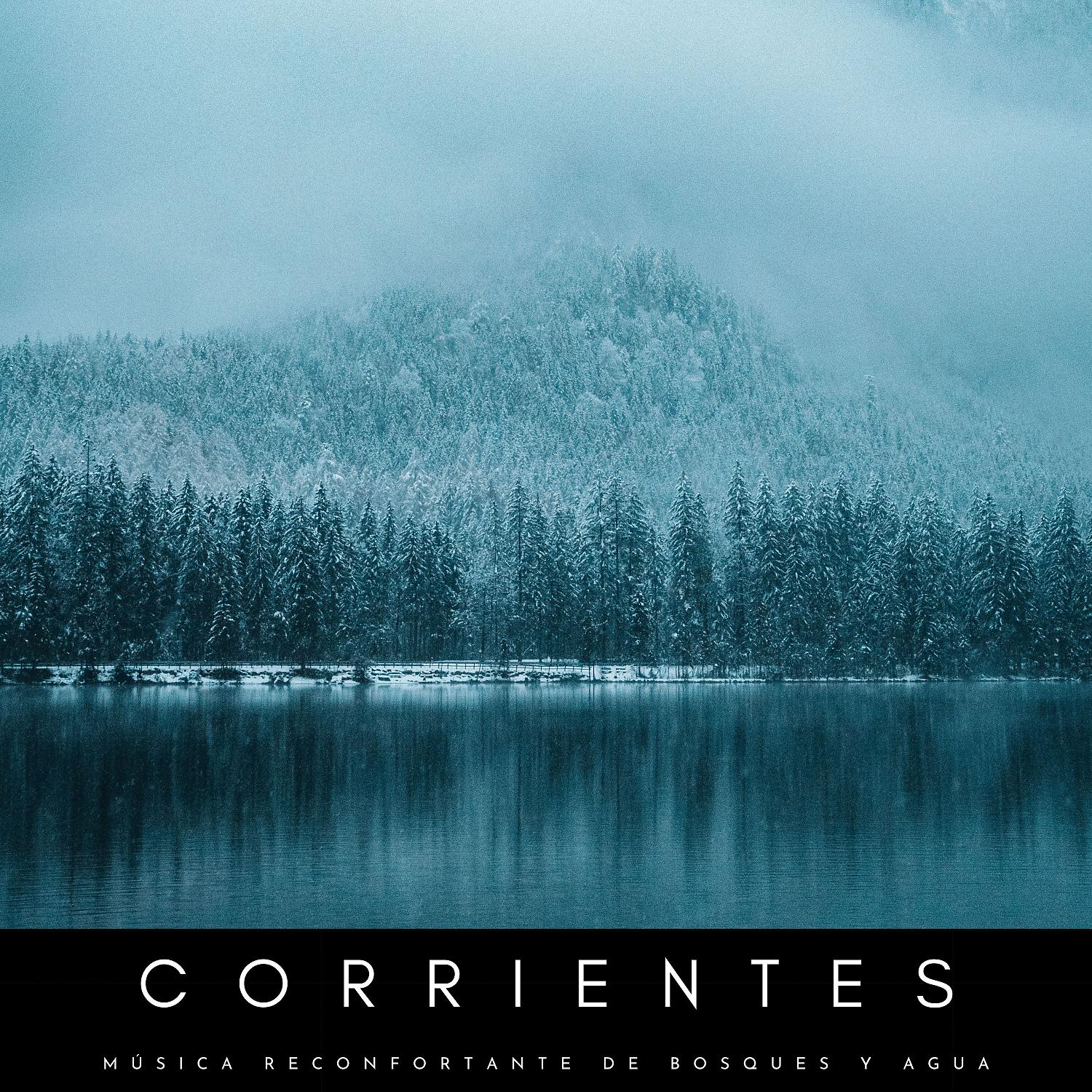 Постер альбома Corrientes: Música Reconfortante De Bosques Y Agua