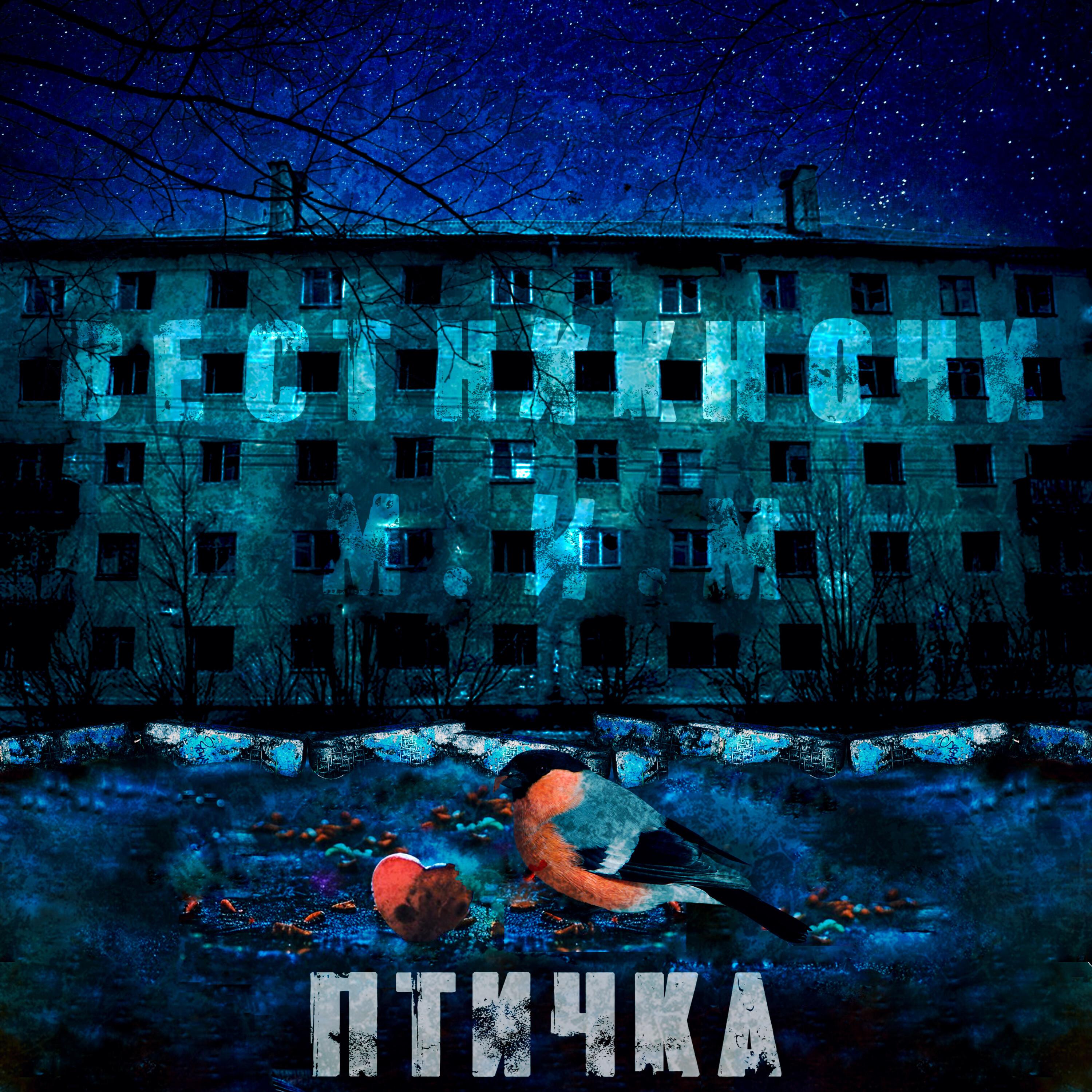Постер альбома ПТИЧКА