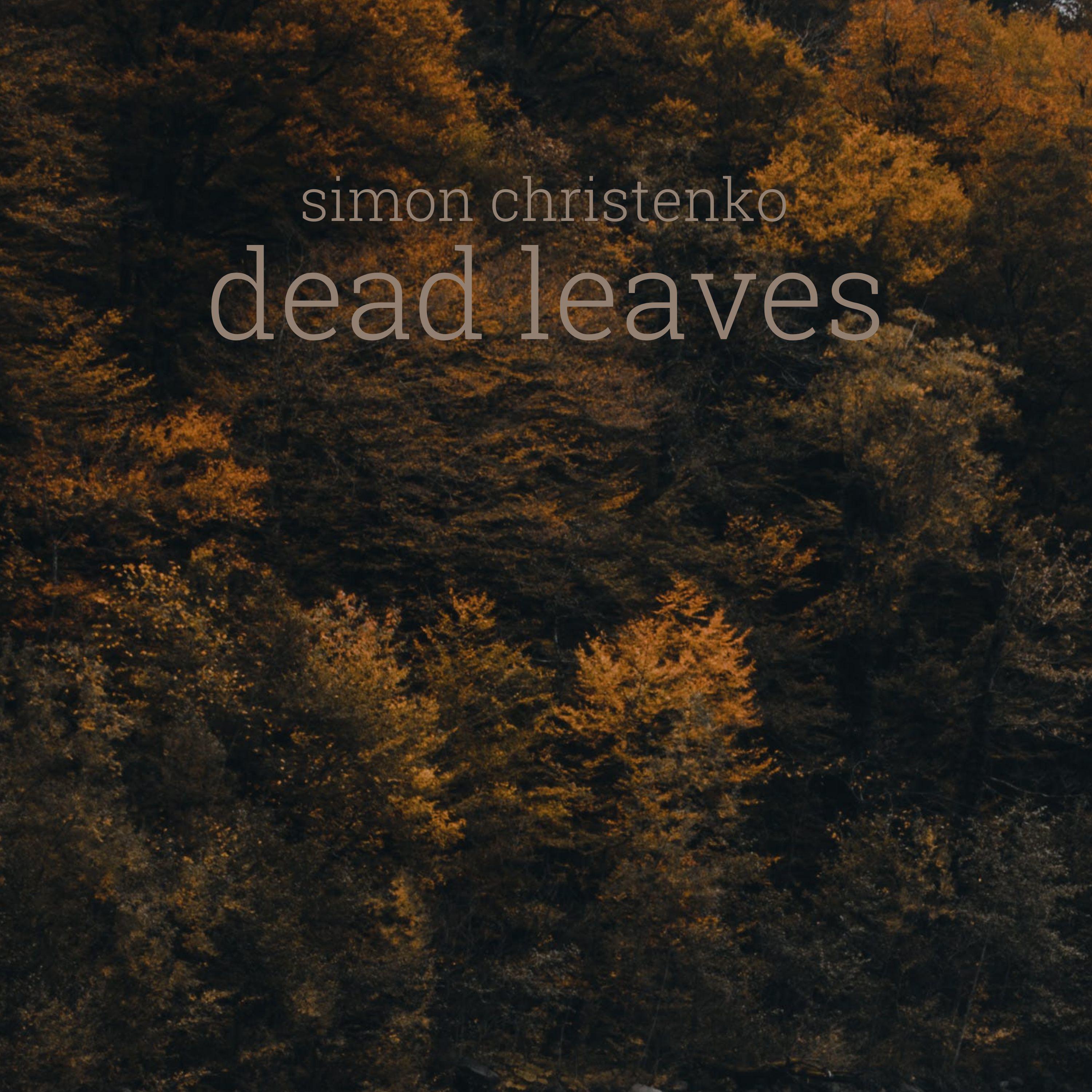 Постер альбома Dead Leaves