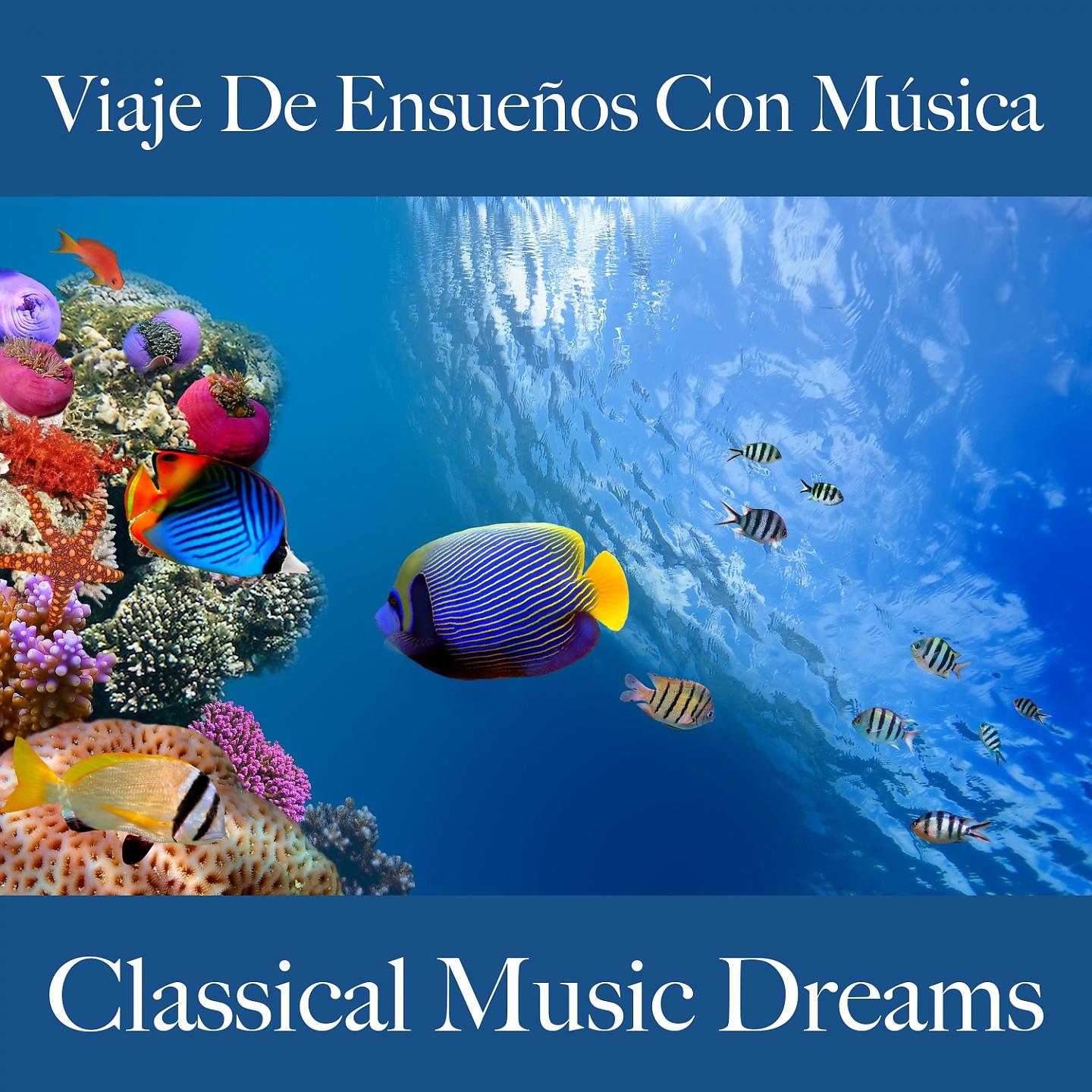 Постер альбома Viaje De Ensueños Con Música: Classical Music Dreams - La Mejor Música Para Relajarse