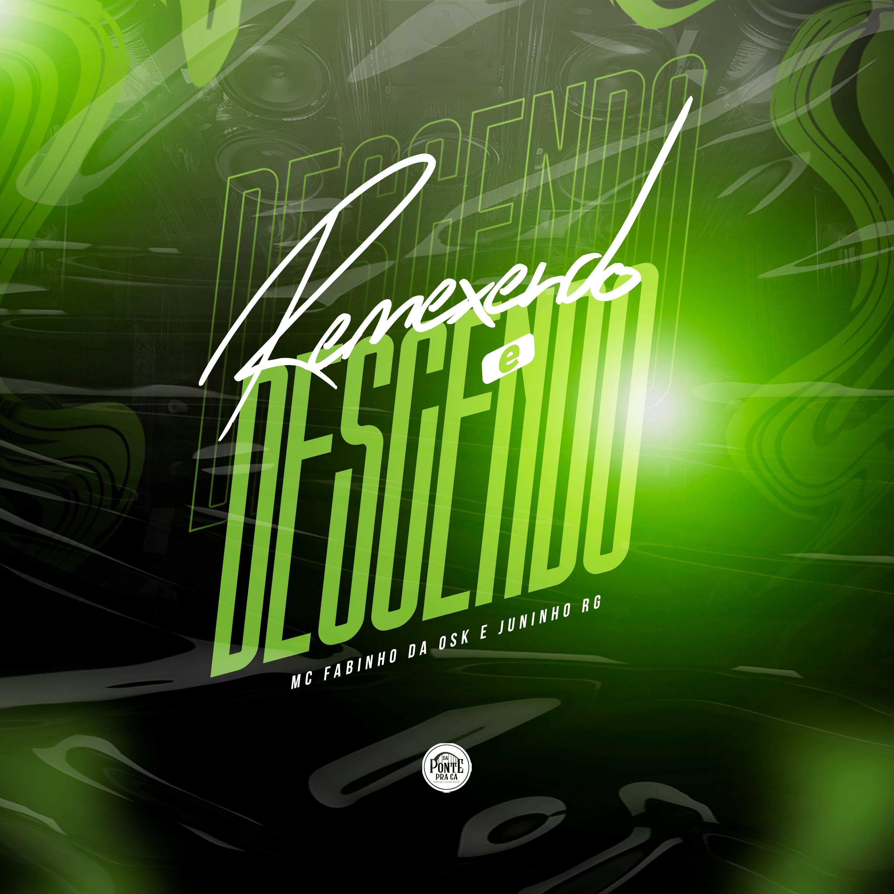 Постер альбома Remexendo e Descendo
