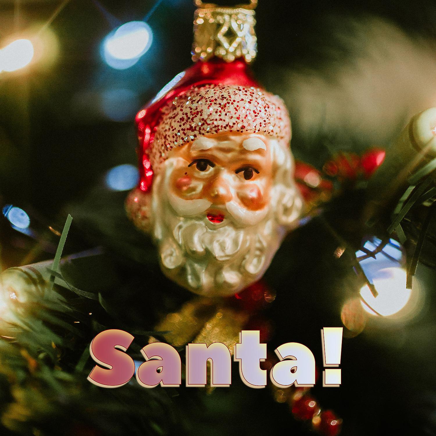 Постер альбома Santa!