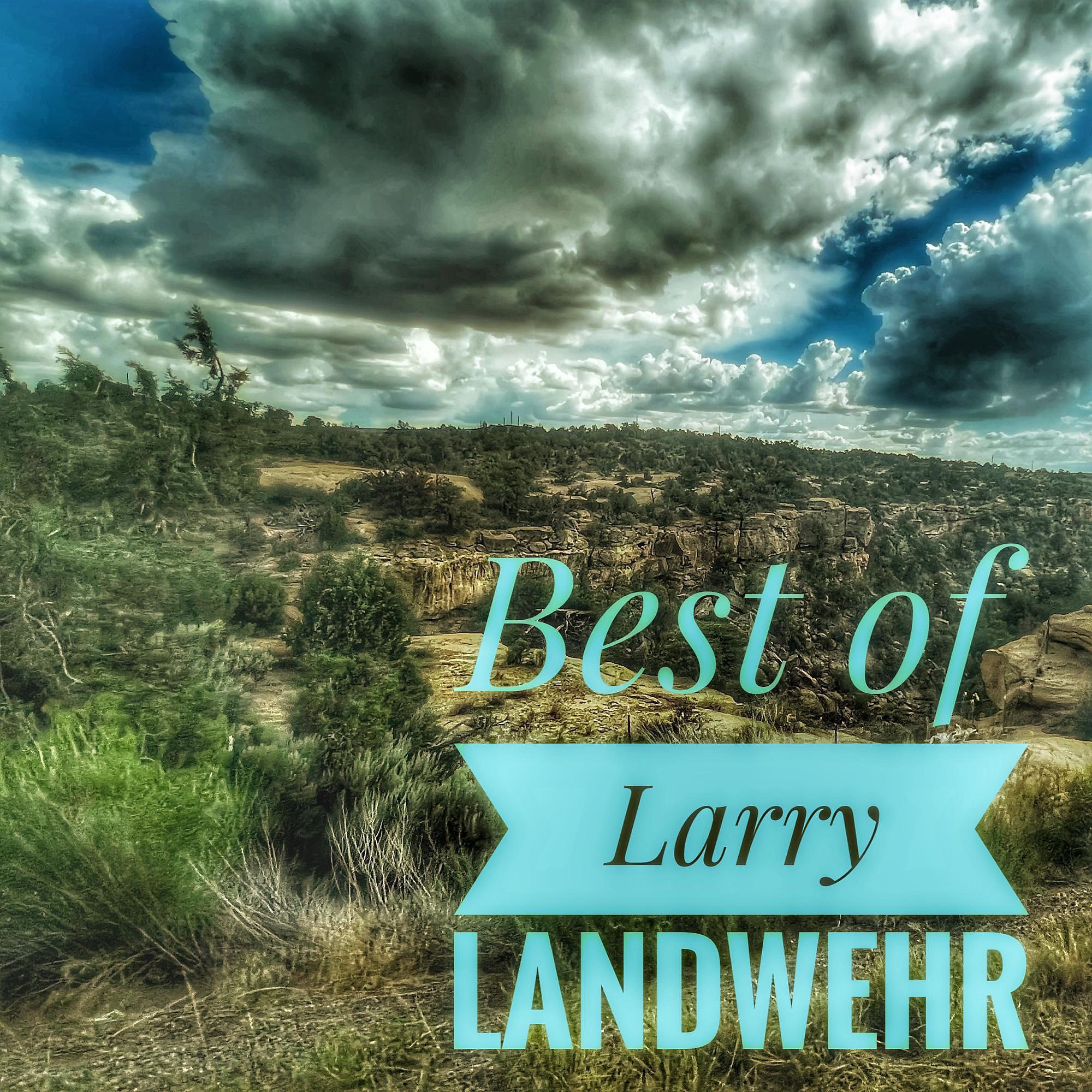 Постер альбома Best of Larry Landwehr