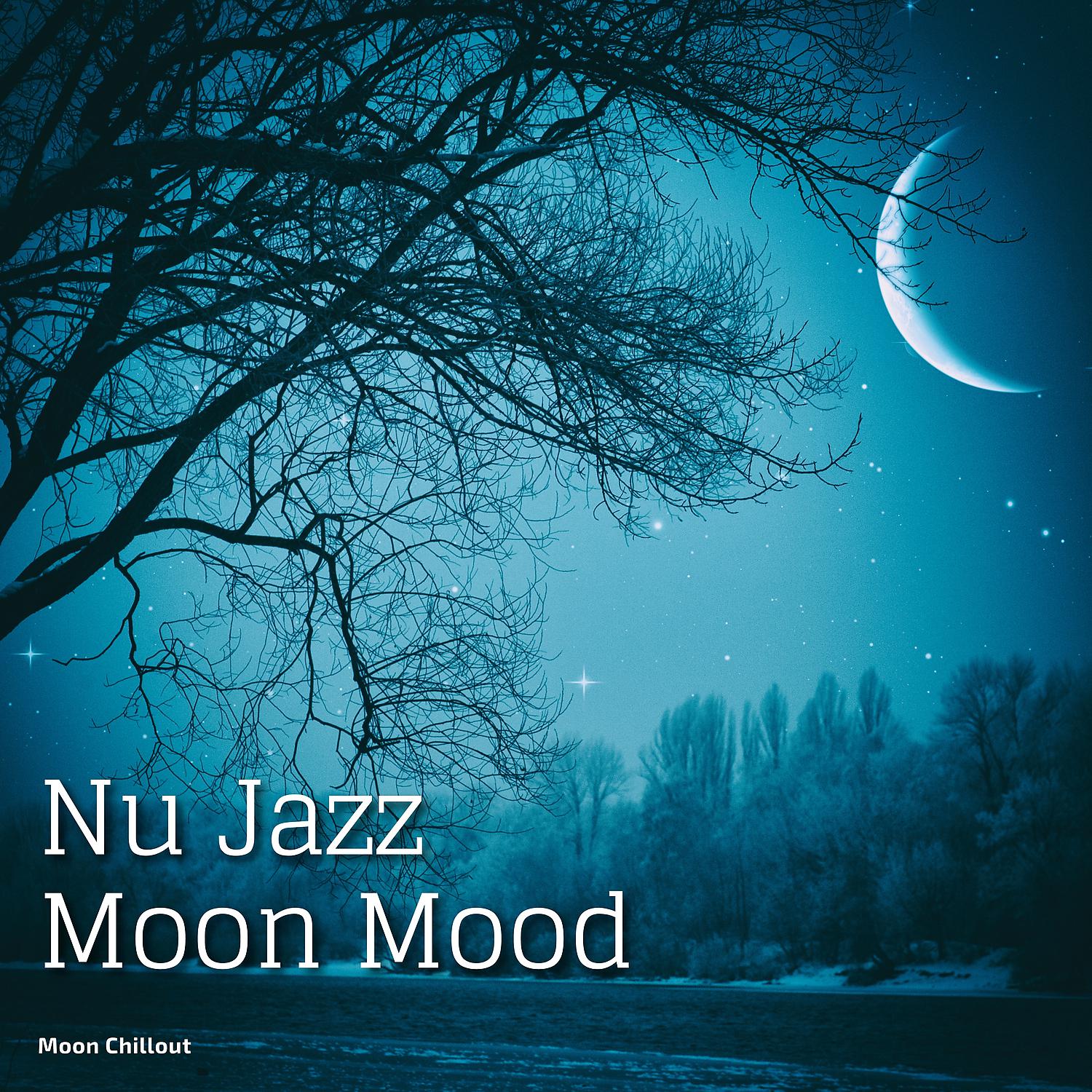 Постер альбома Nu Jazz Moon Mood