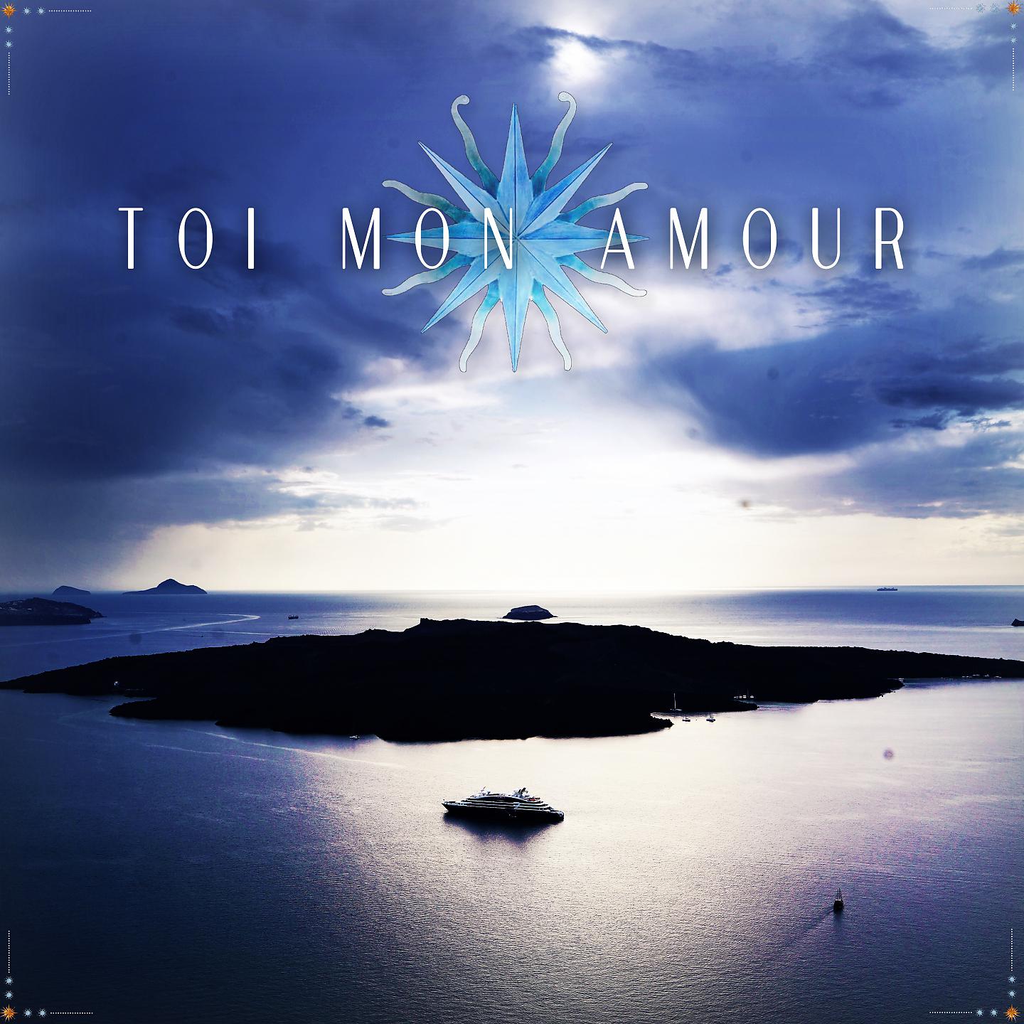 Постер альбома Toi mon amour