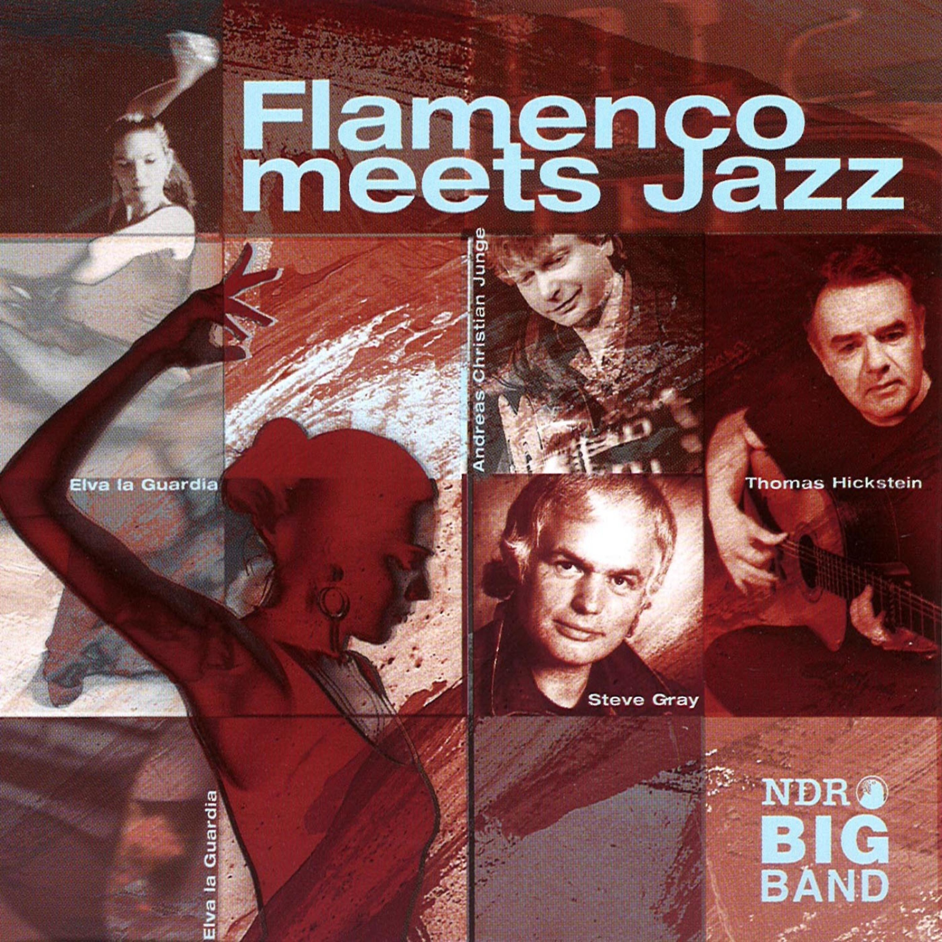 Постер альбома Flamenco meets Jazz