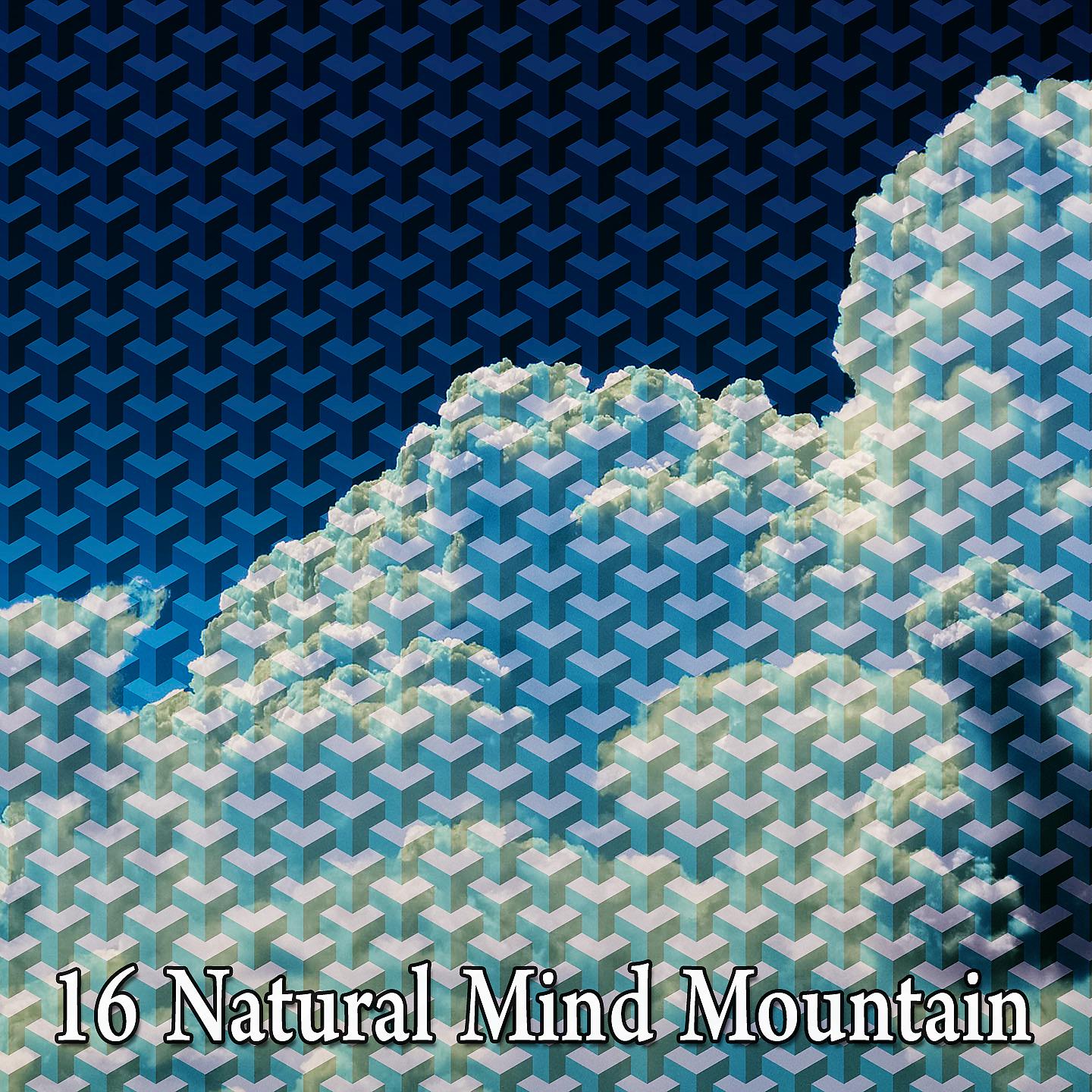 Постер альбома 16 Гора естественного разума