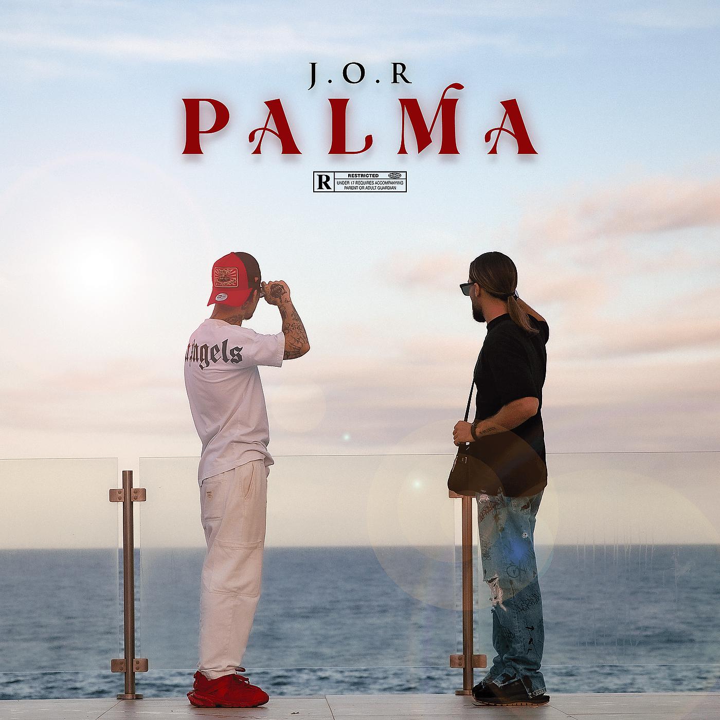 Постер альбома Palma