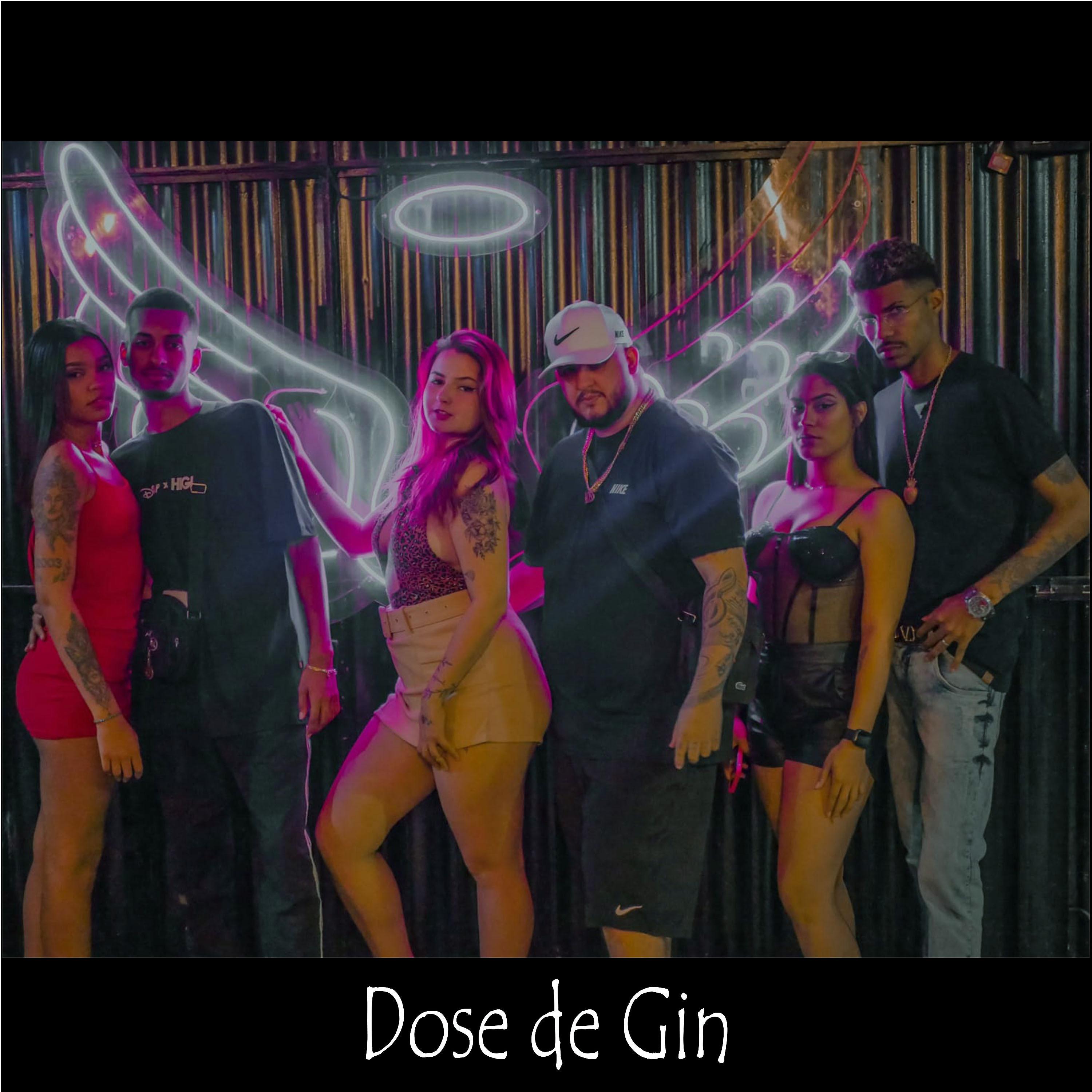 Постер альбома Dose de Gin