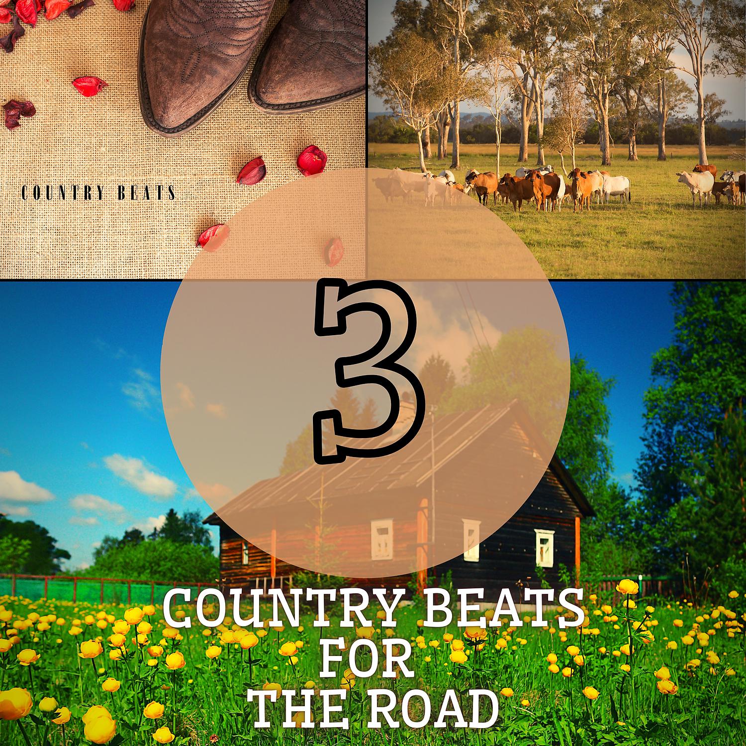 Постер альбома Country Beats for the Road 3