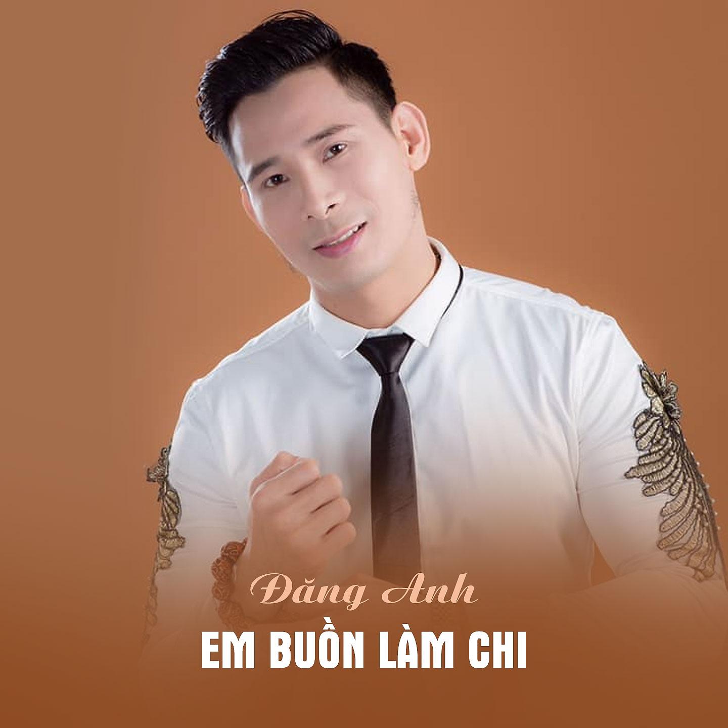 Постер альбома Em Buồn Làm Chi