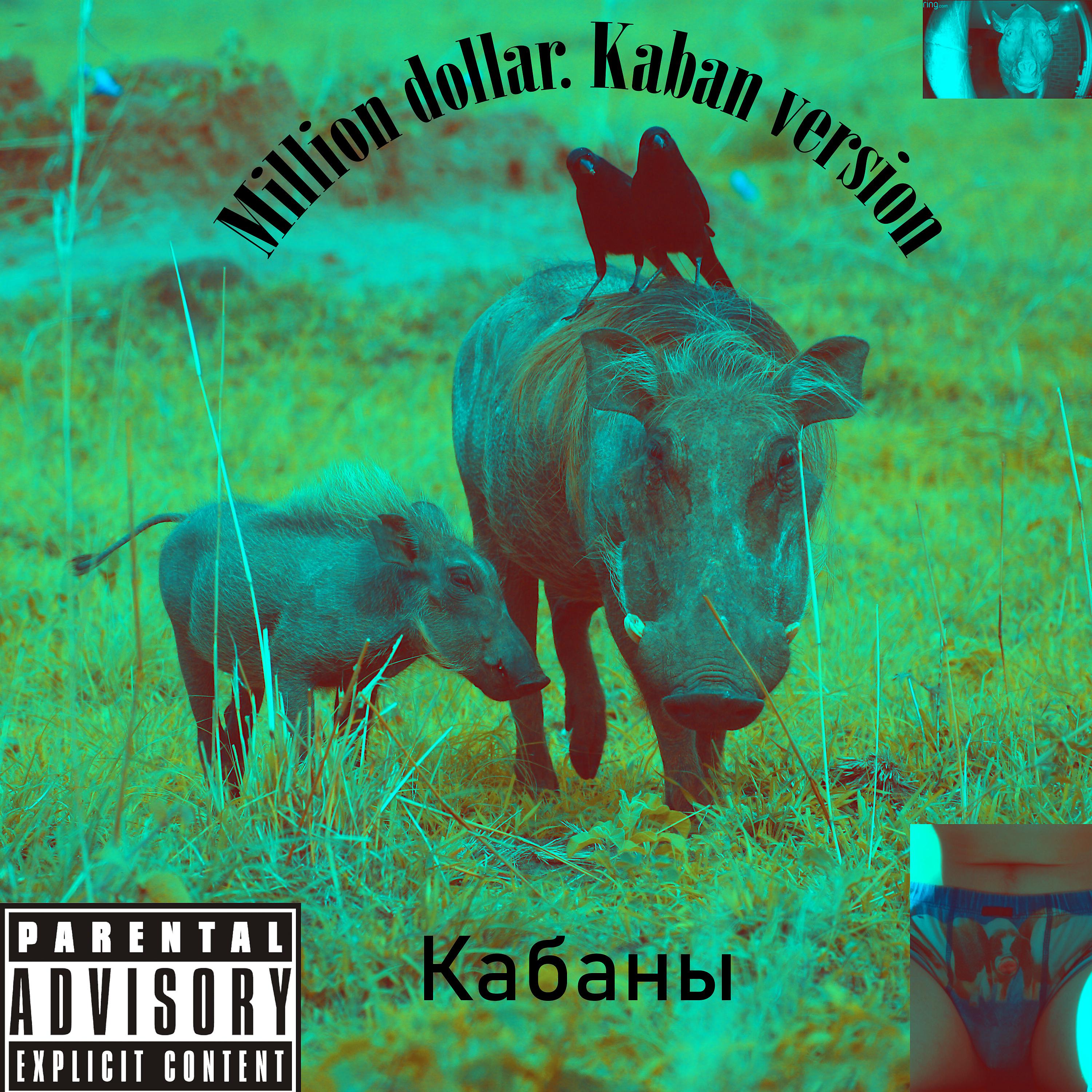 Постер альбома Million Dollar. Kaban Version