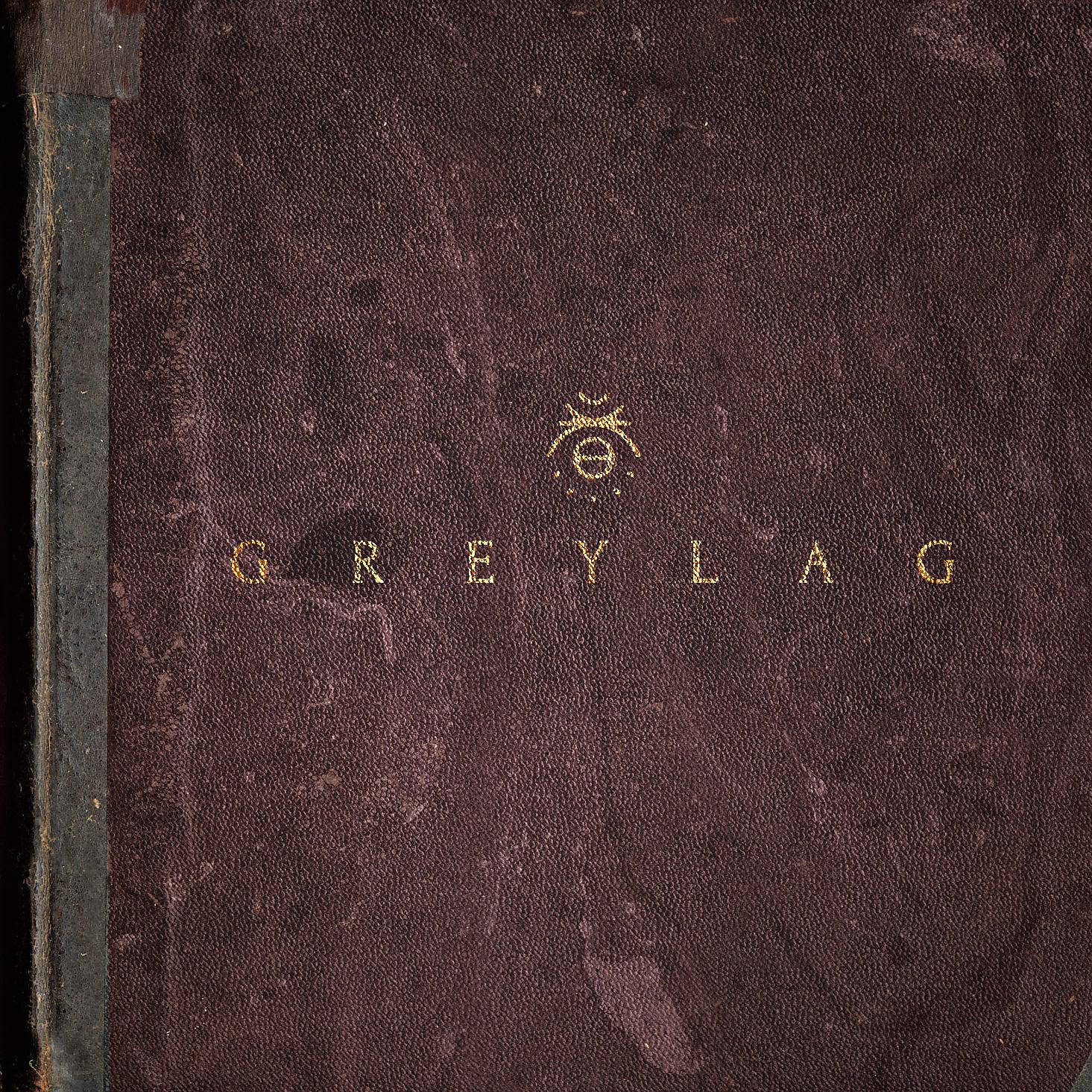 Постер альбома Greylag